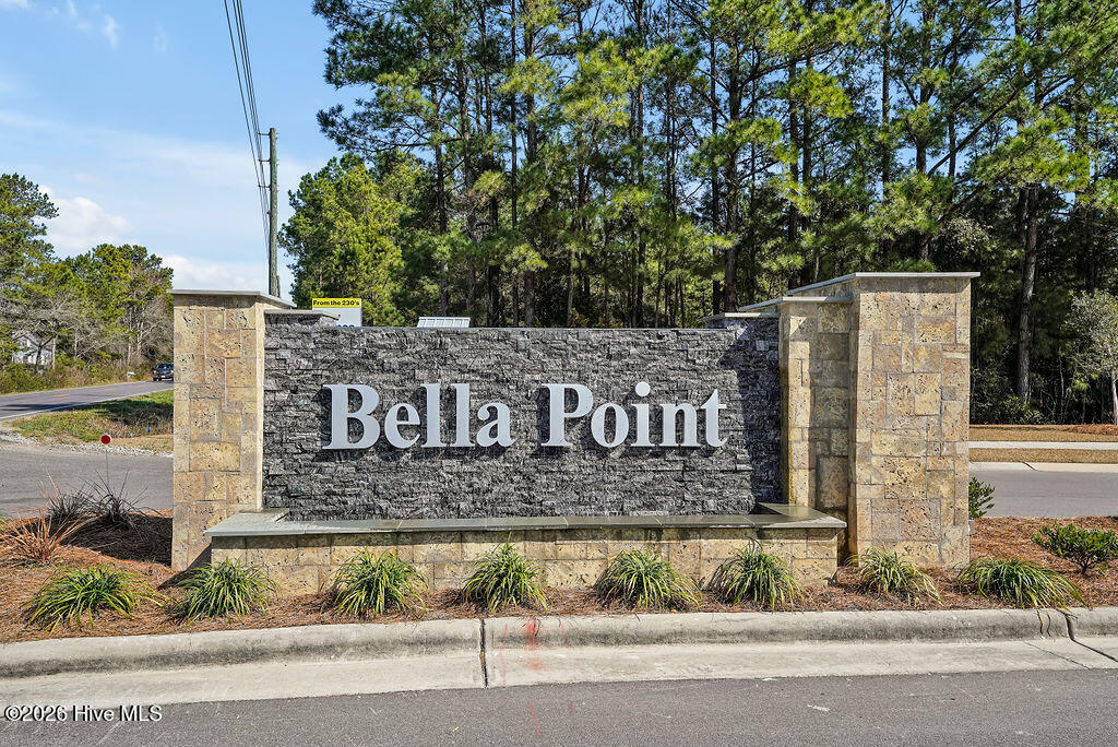 100553678 | Photo 29