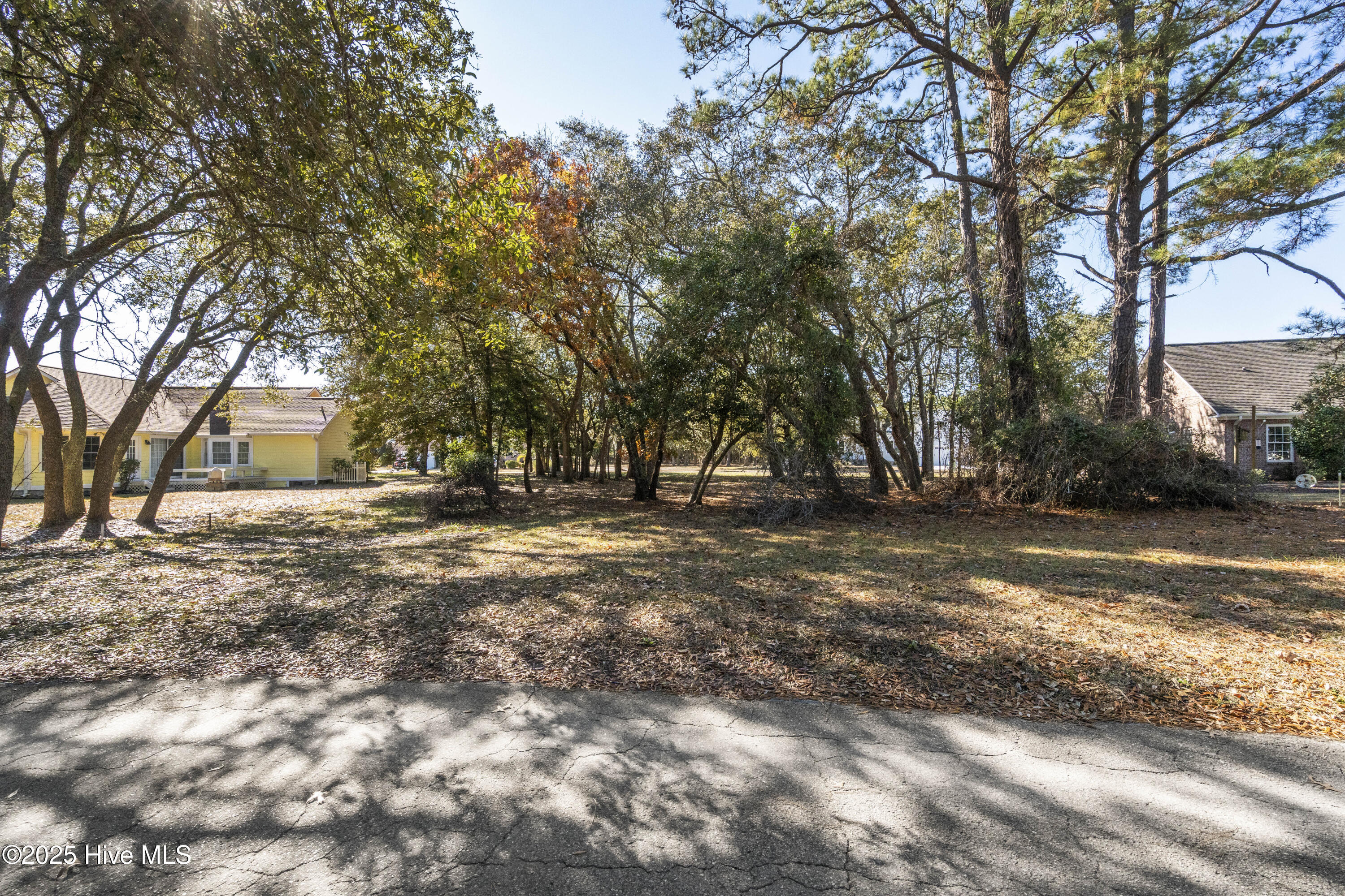 100545333 | Photo 12