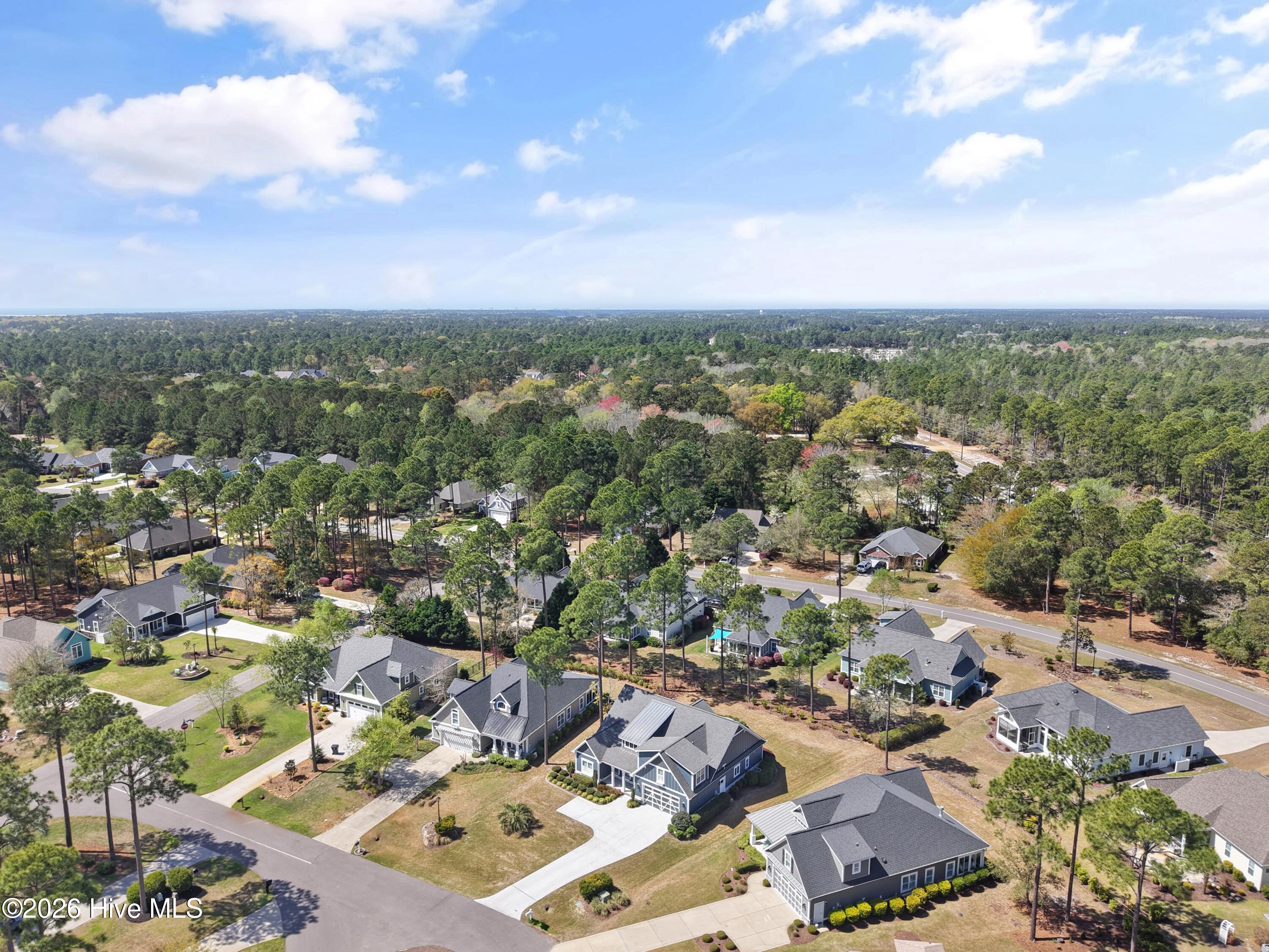 100564386 | Photo 69