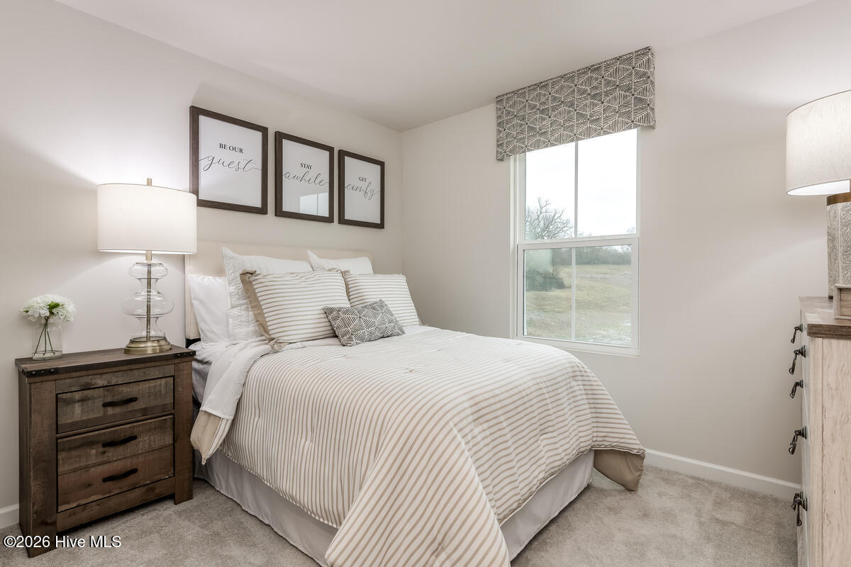 100555058 | Photo 19