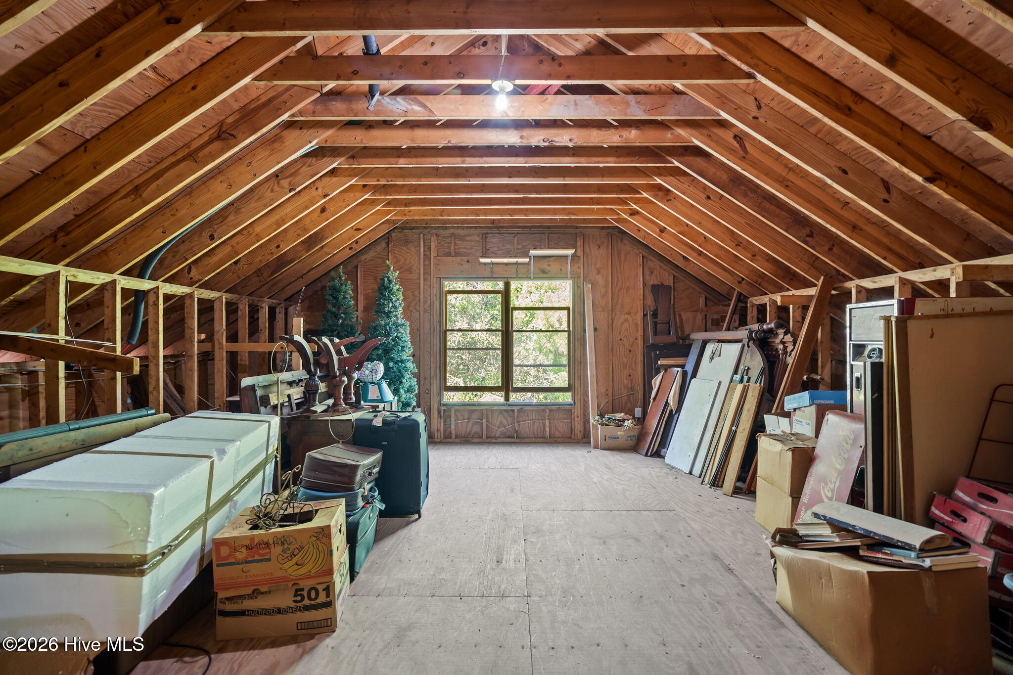 100570294 | Photo 36