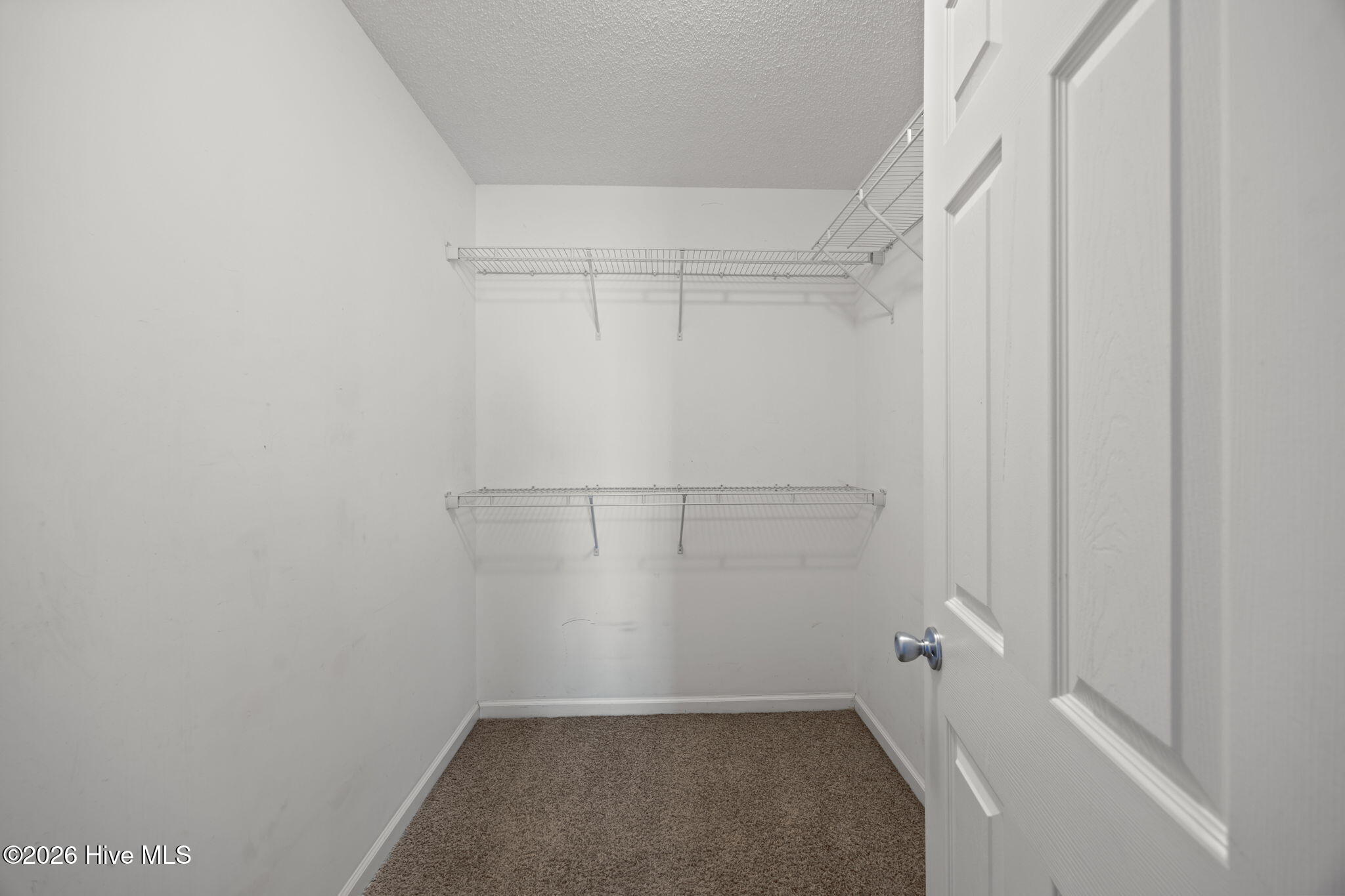 100557528 | Photo 11