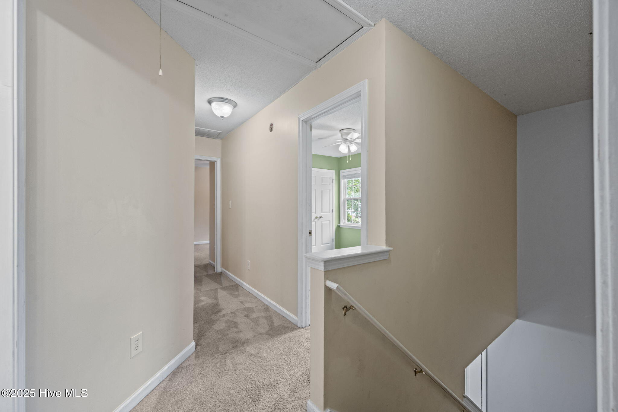 100565429 | Photo 15