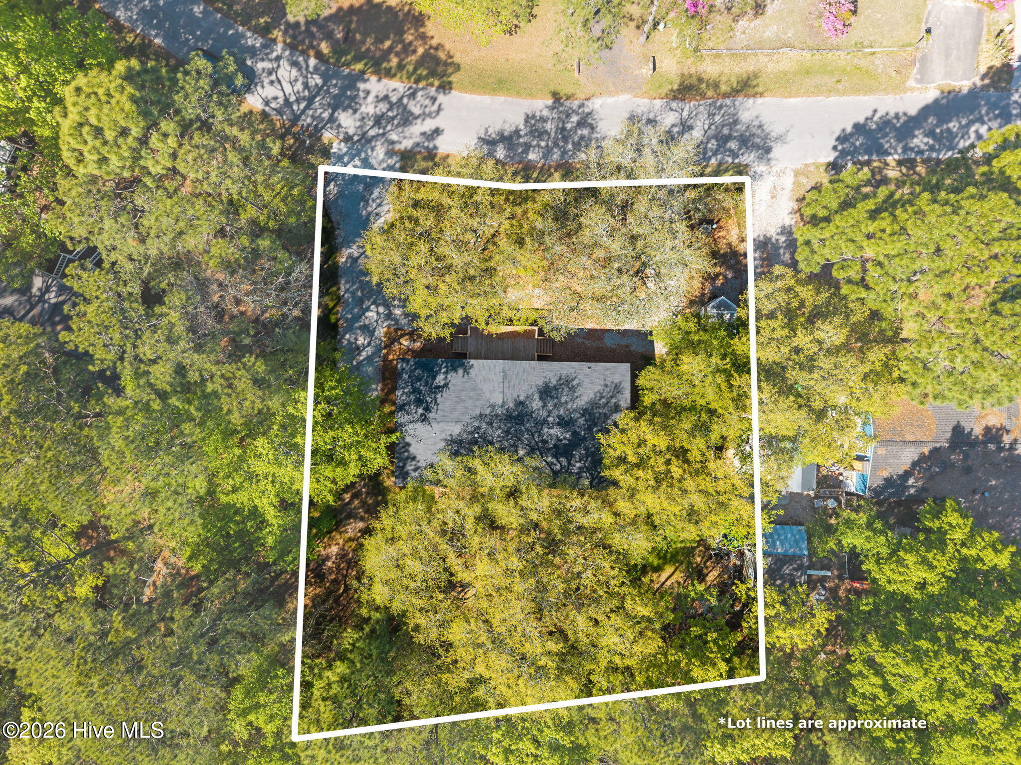 100569950 | Photo 33