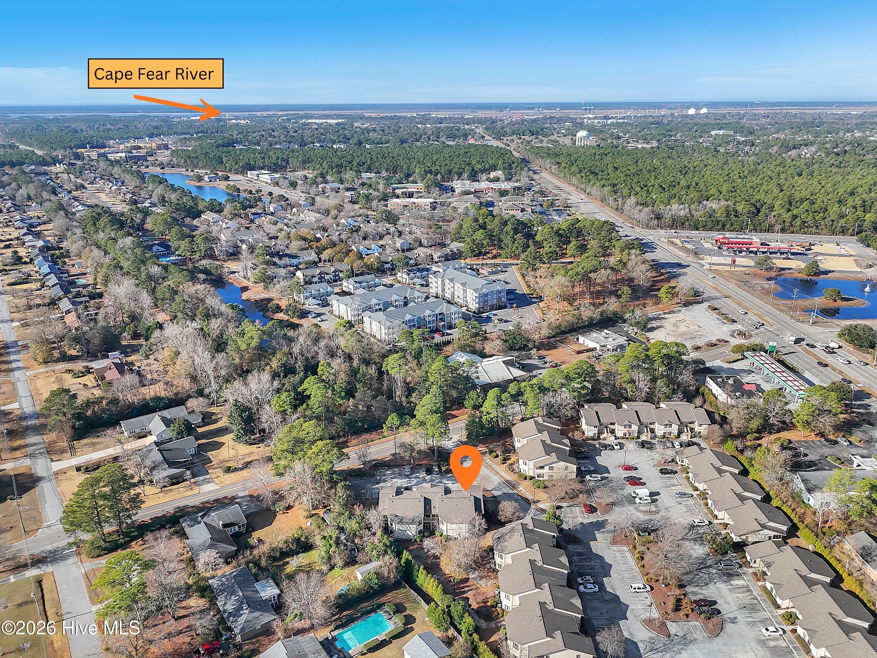 100547351 | Photo 24