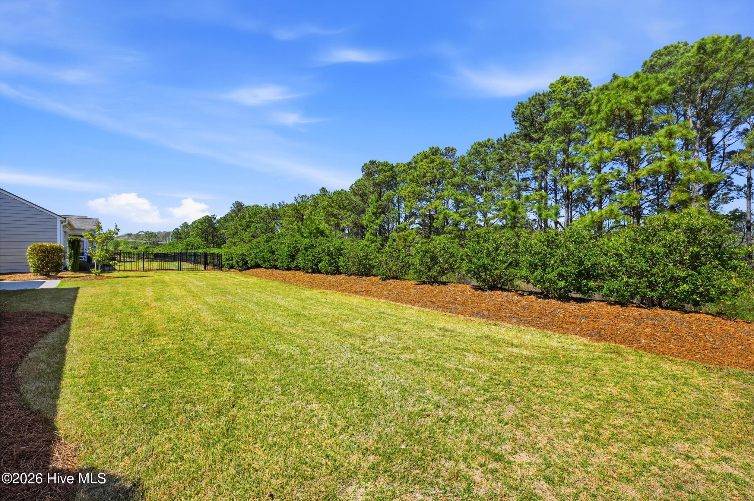 100565292 | Photo 41