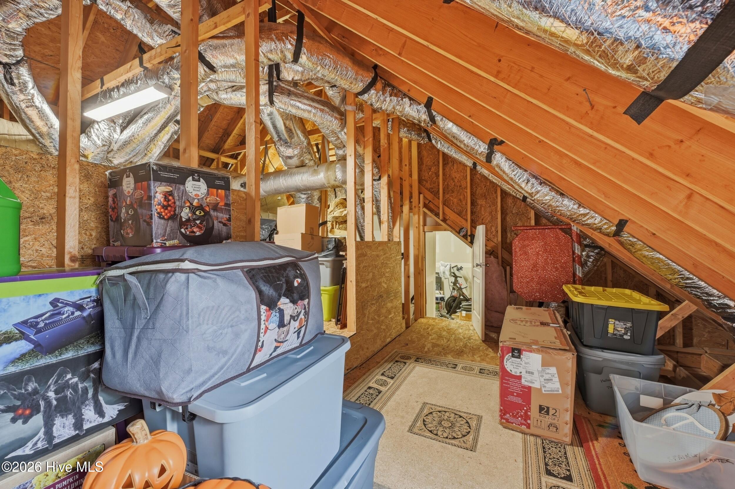 100556453 | Photo 45