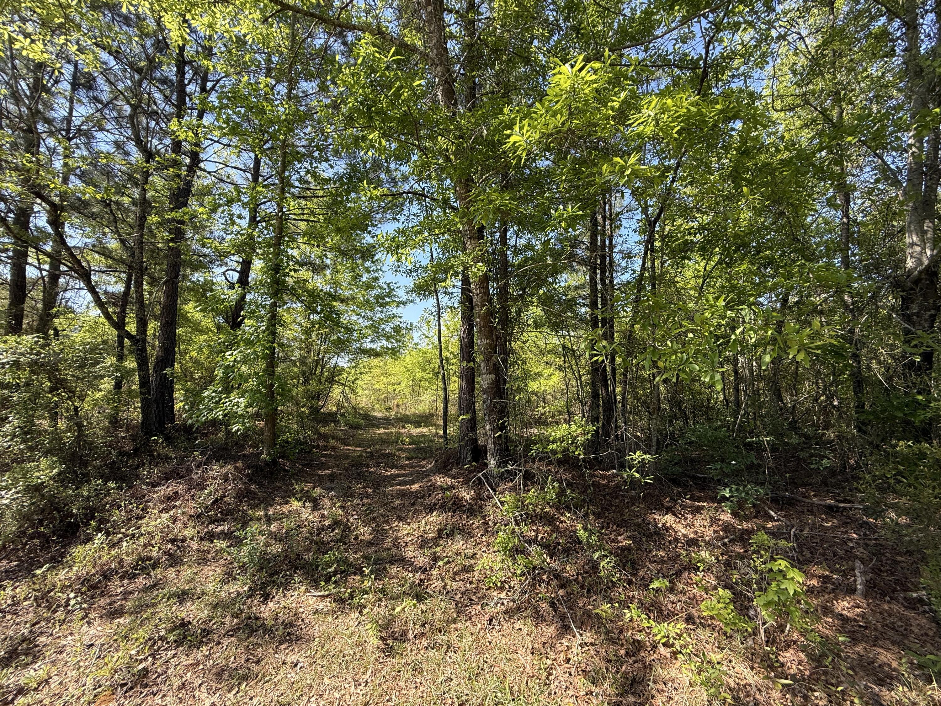 8087 Sandhill Road, Mitchell, GA, 30820