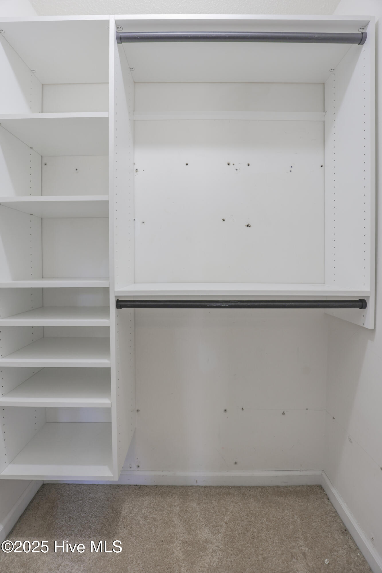 100522542 | Photo 17