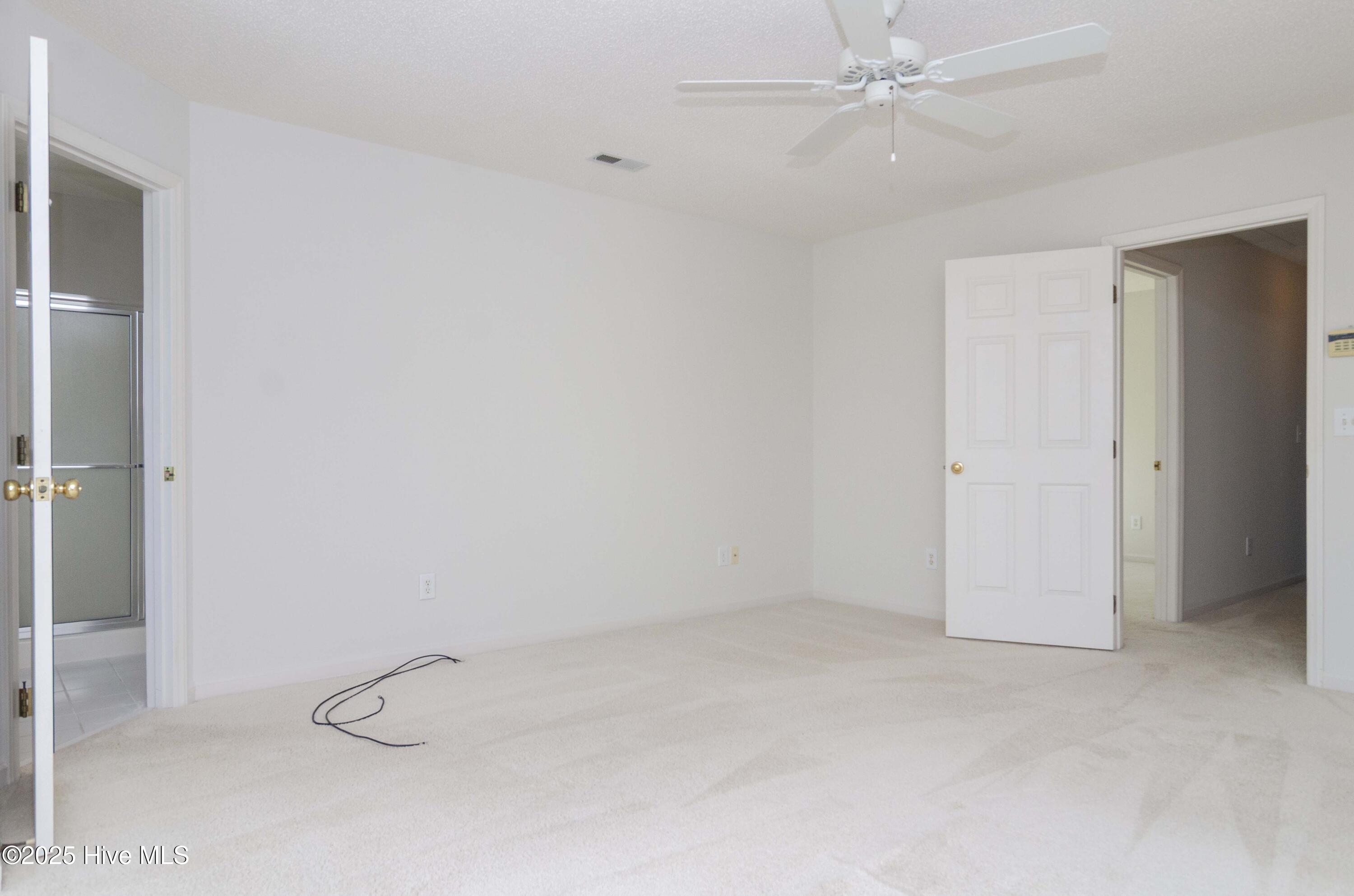 100563039 | Photo 15