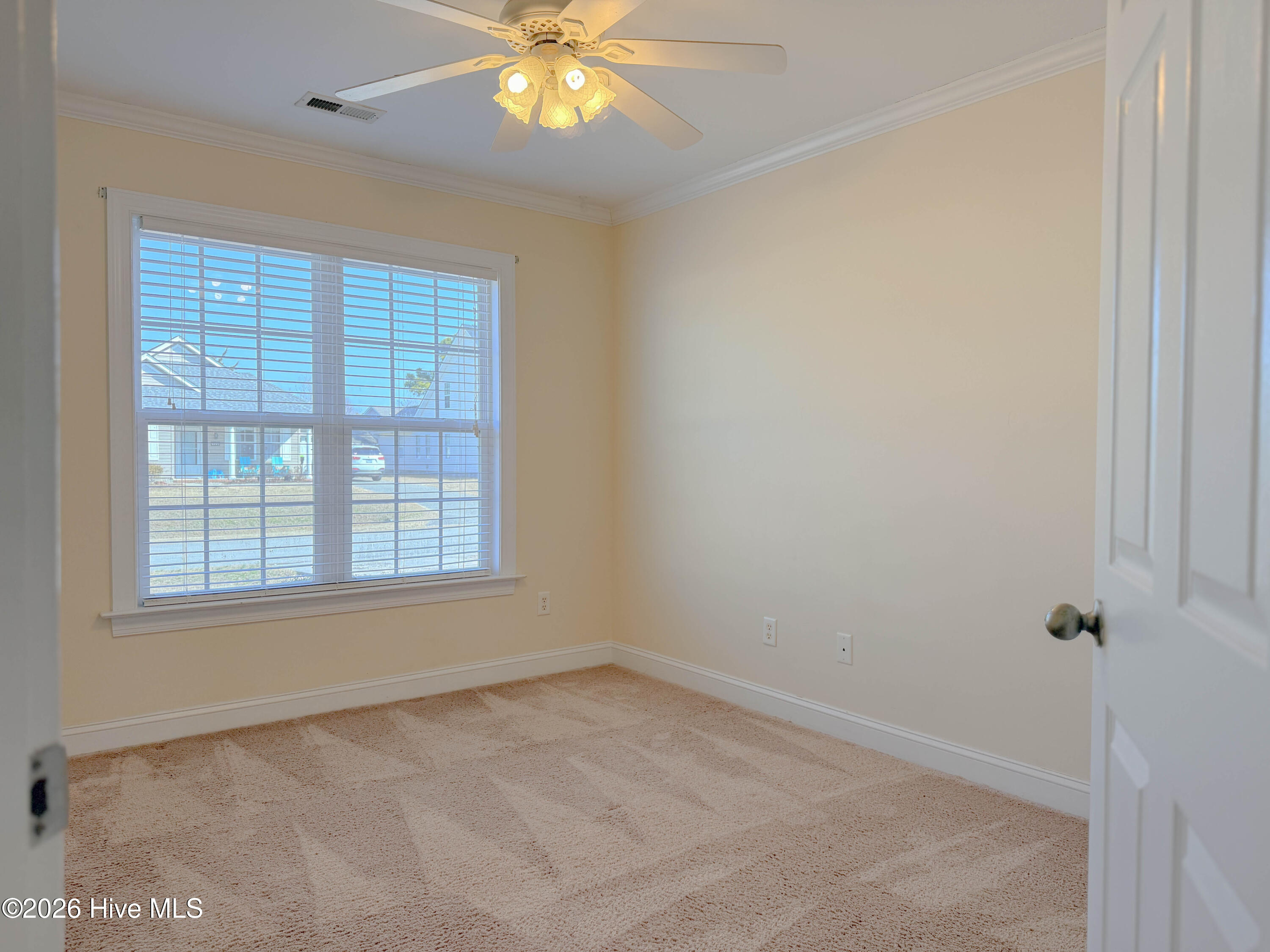 100554252 | Photo 38