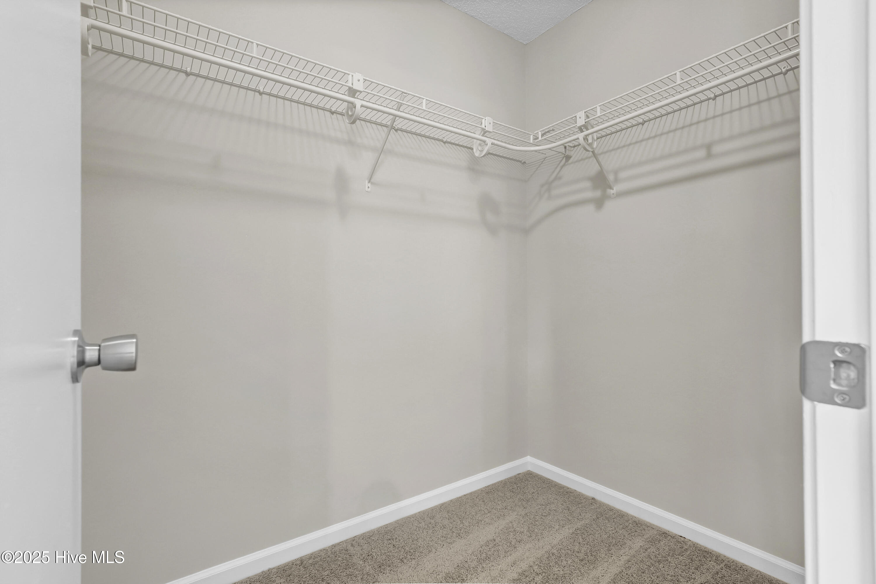 100545251 | Photo 16