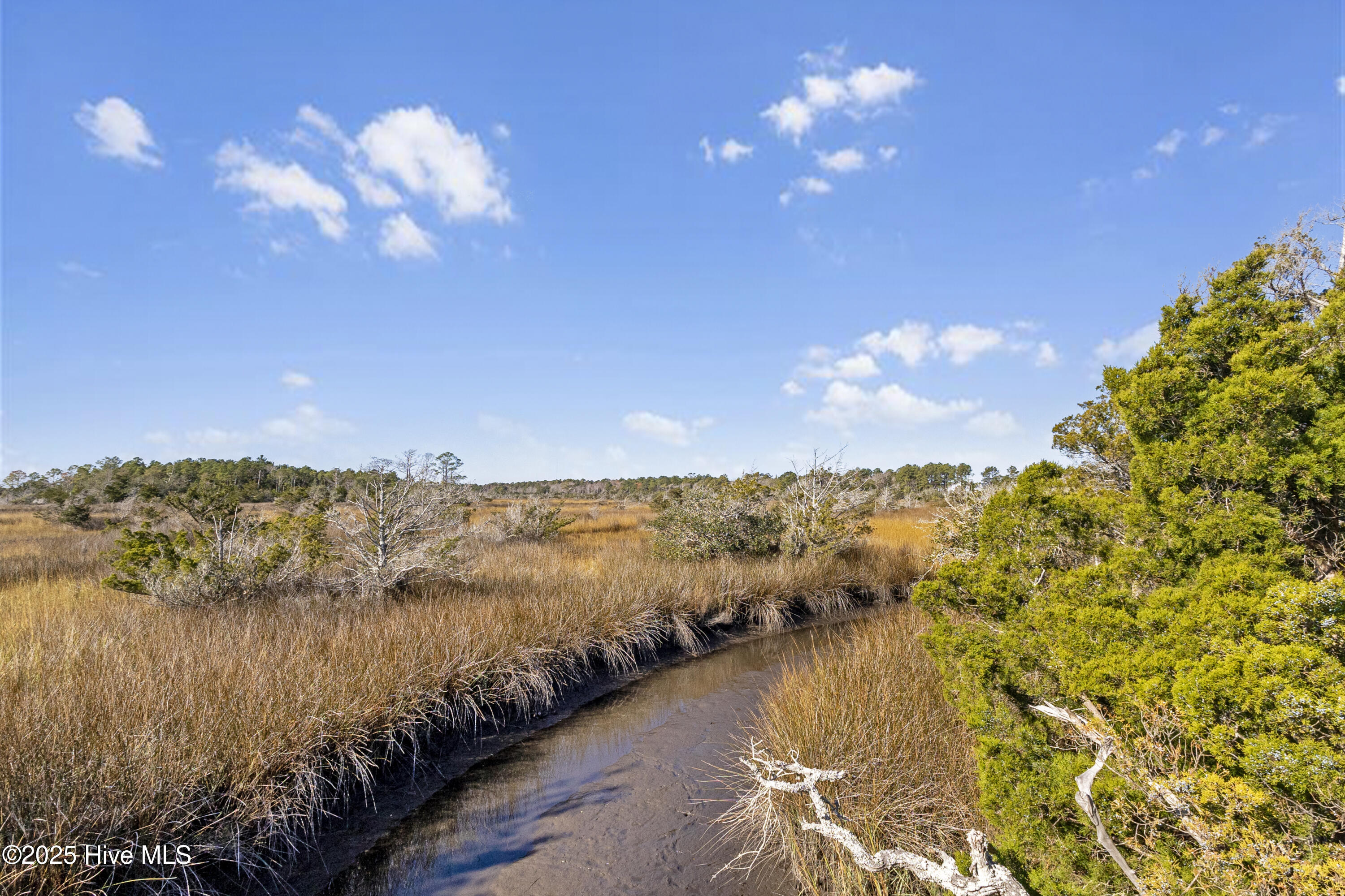 100569924 | Photo 43