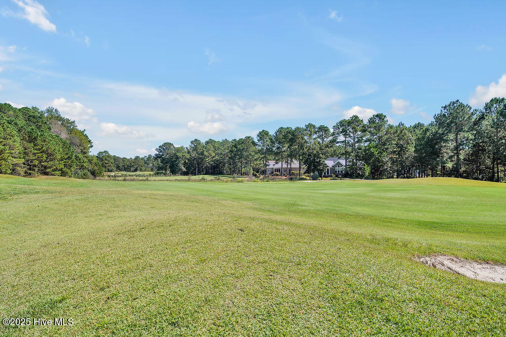 100535984 | Photo 67