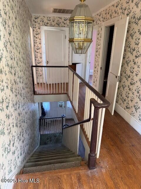 100508665 | Photo 17