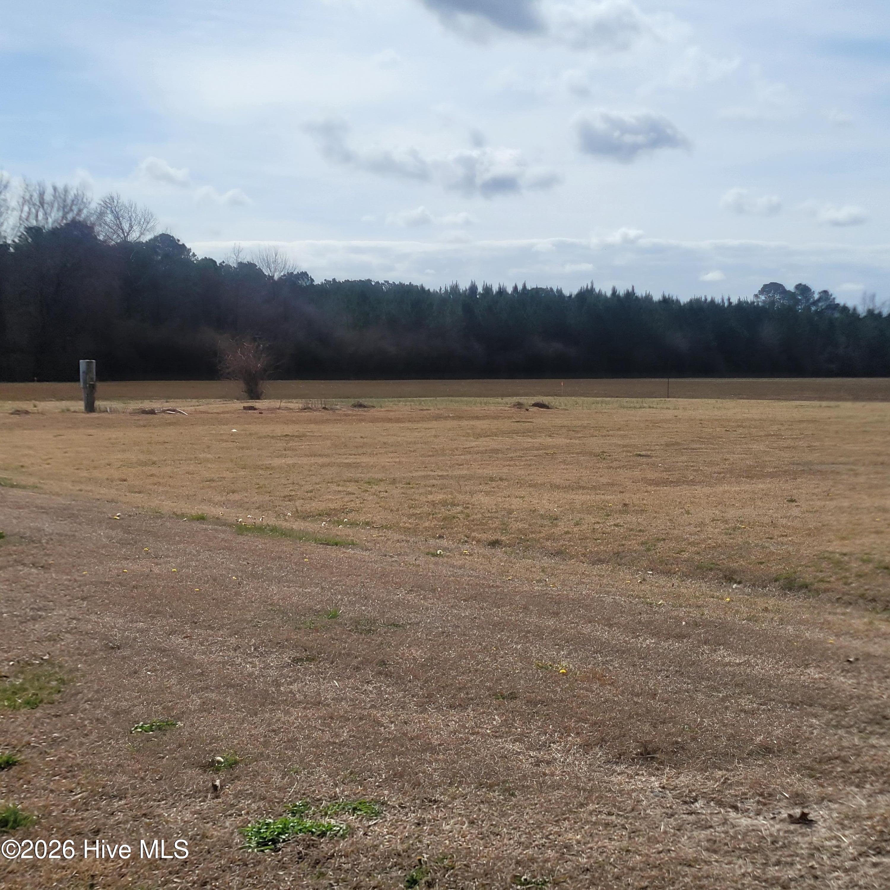 Undisclosed Address, Willard, NC, 28478