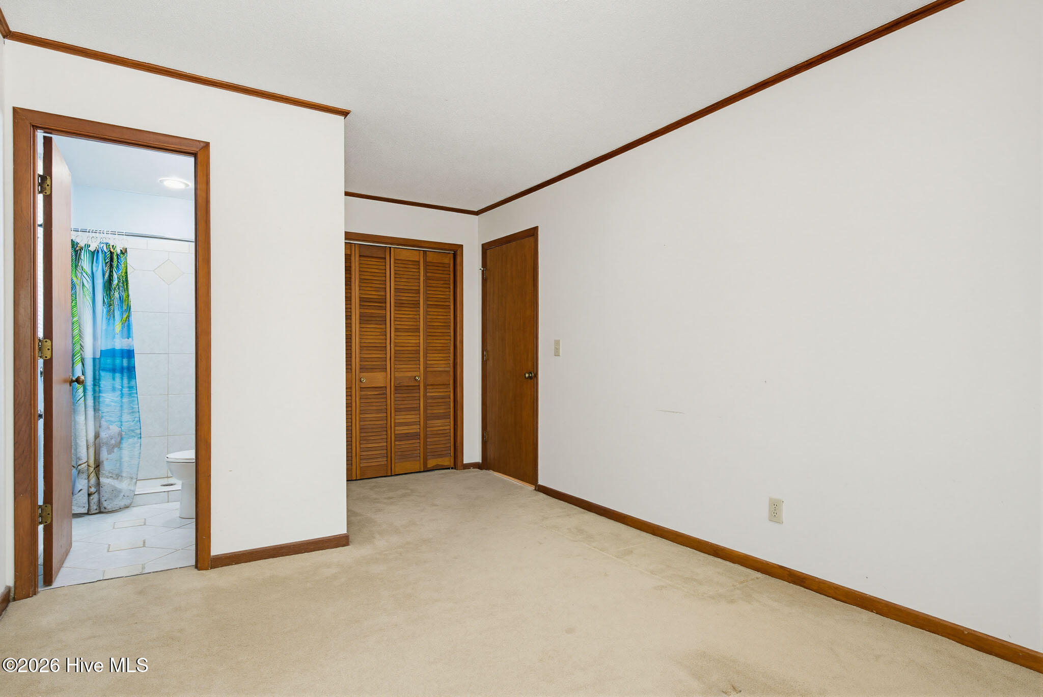 100568983 | Photo 47