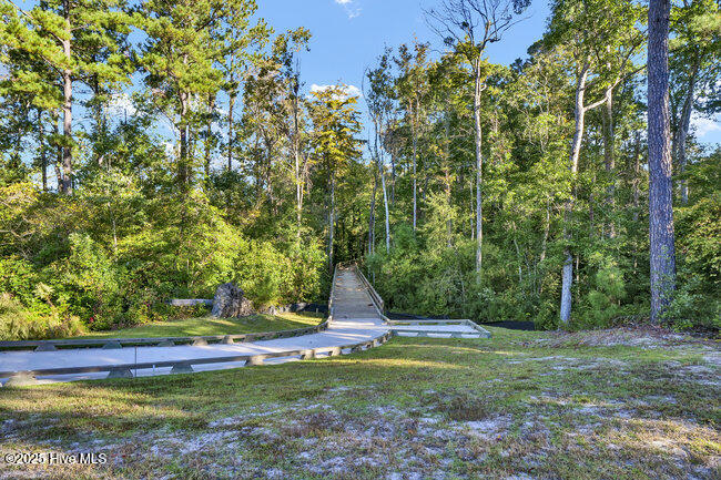 100528964 | Photo 58