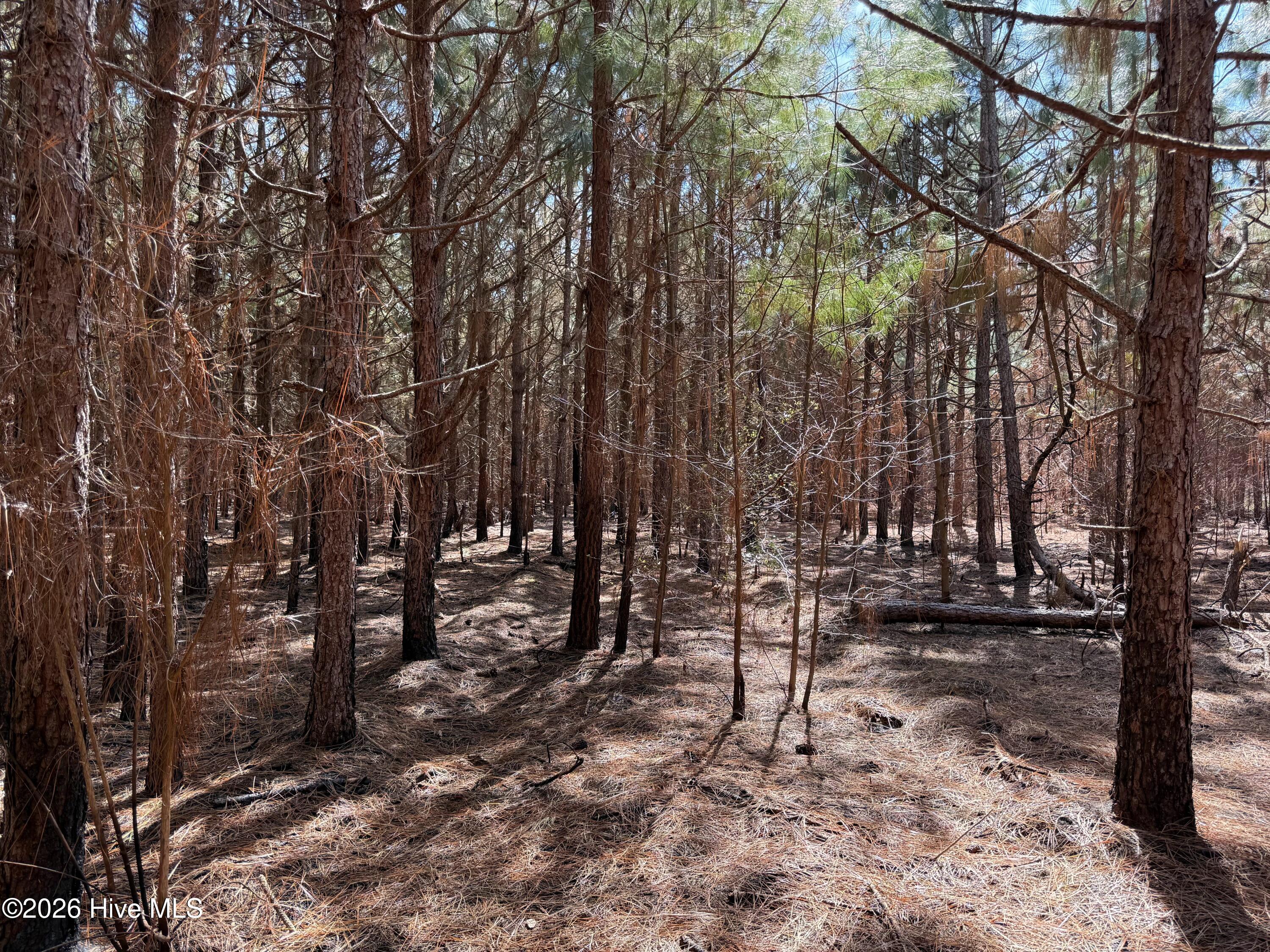 100560557 | Photo 28