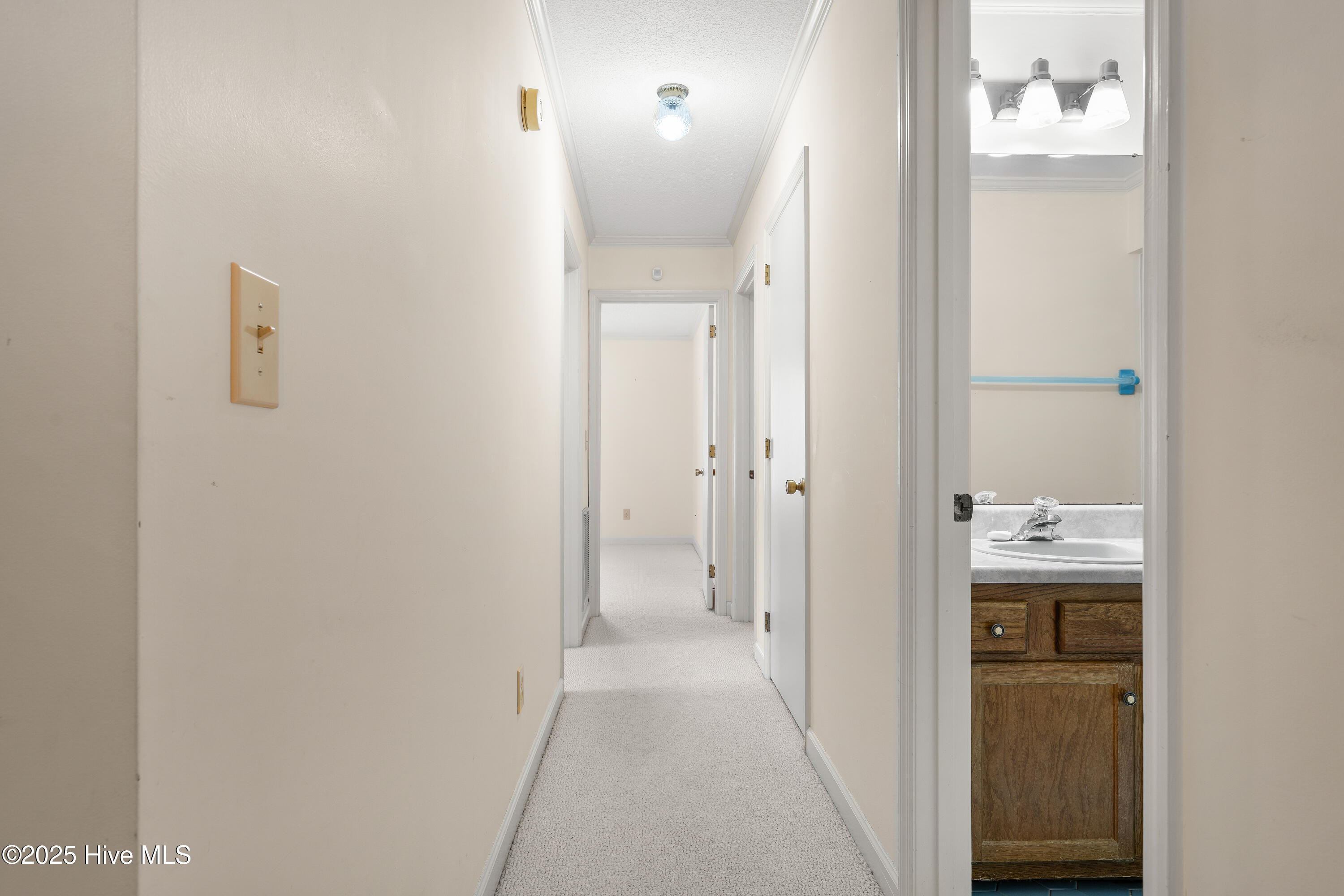 100542635 | Photo 60