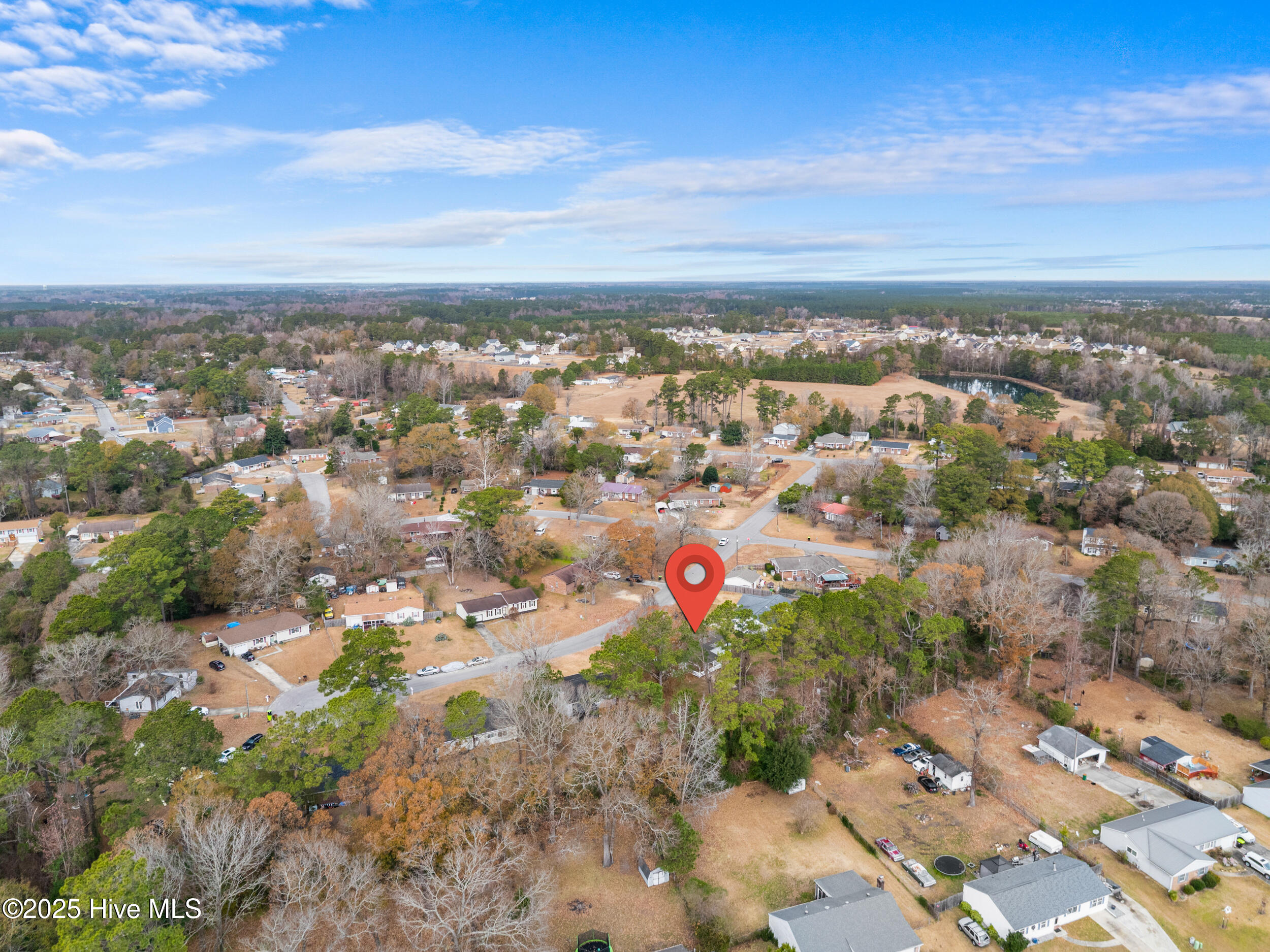 100546009 | Photo 59