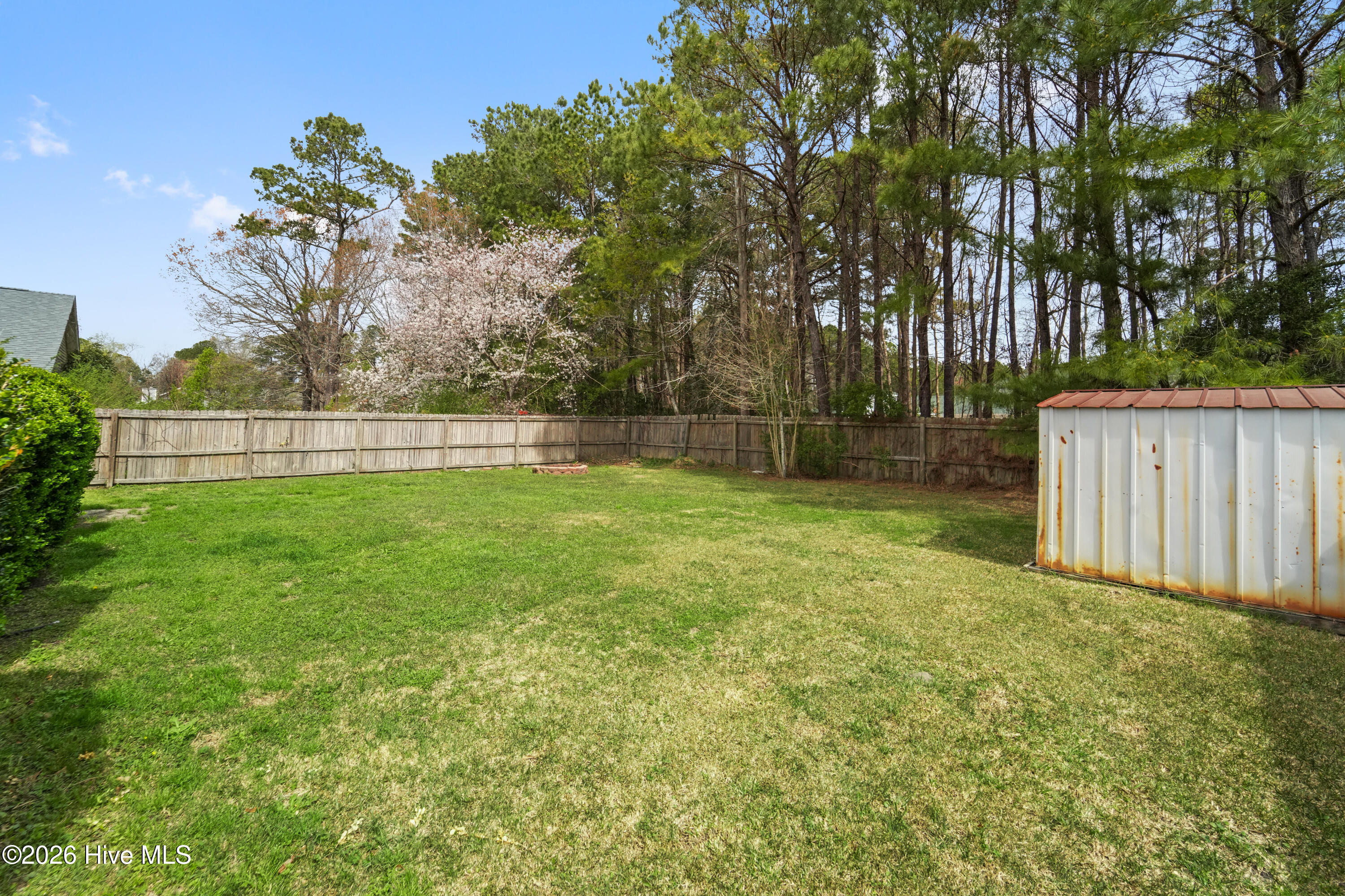 100561681 | Photo 24