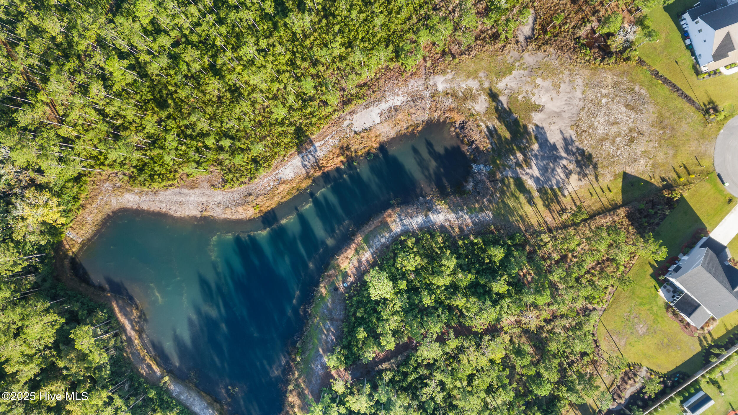 100538147 | Photo 11