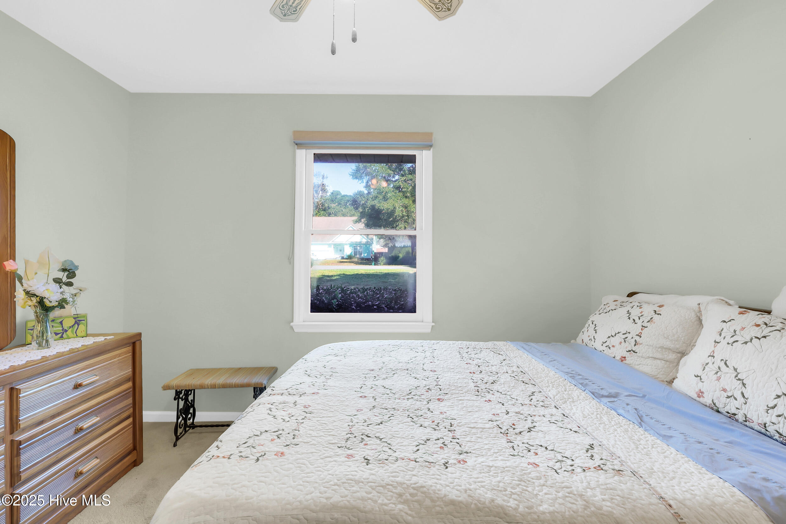 100535037 | Photo 13