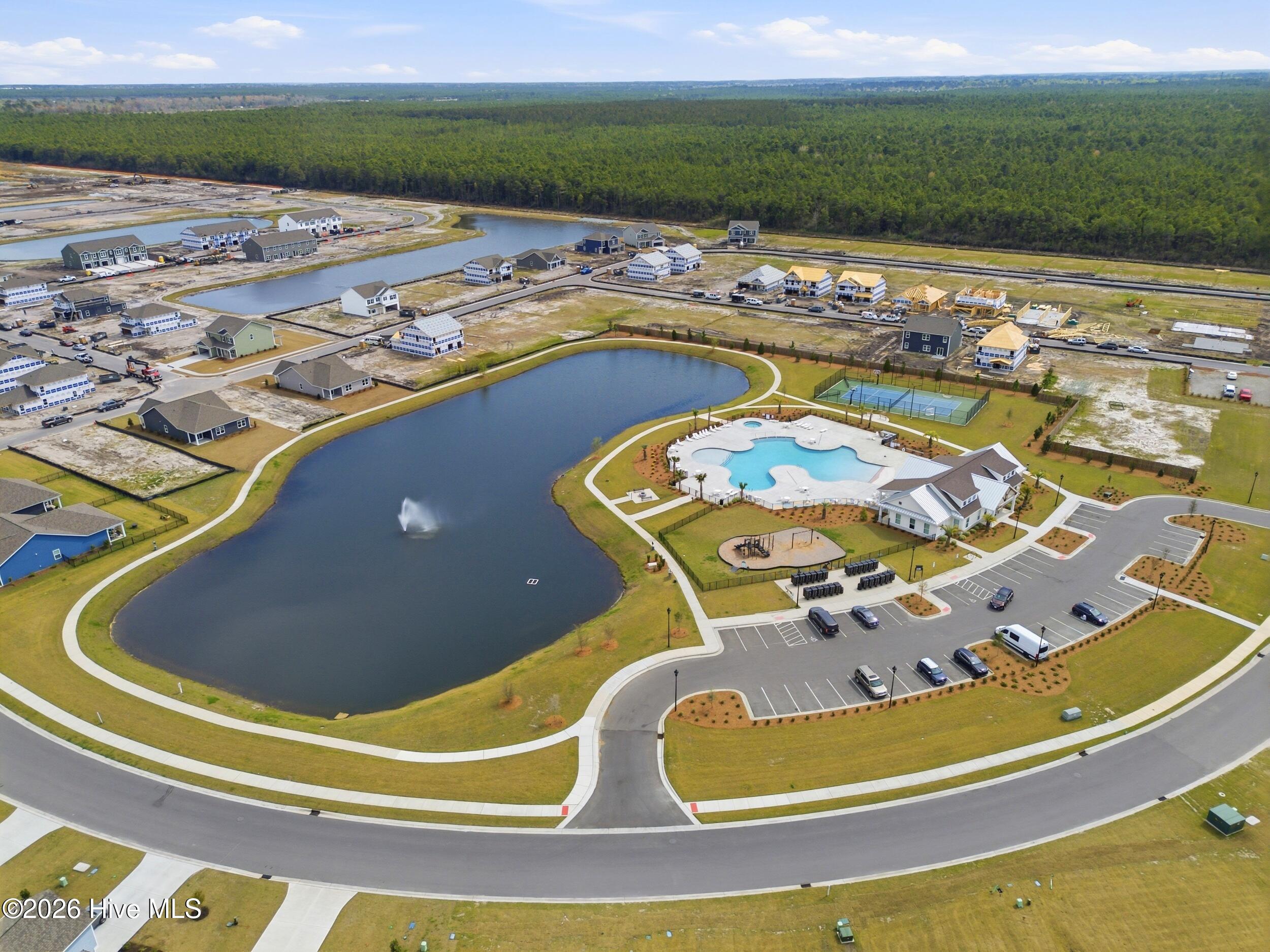 100558236 | Photo 65