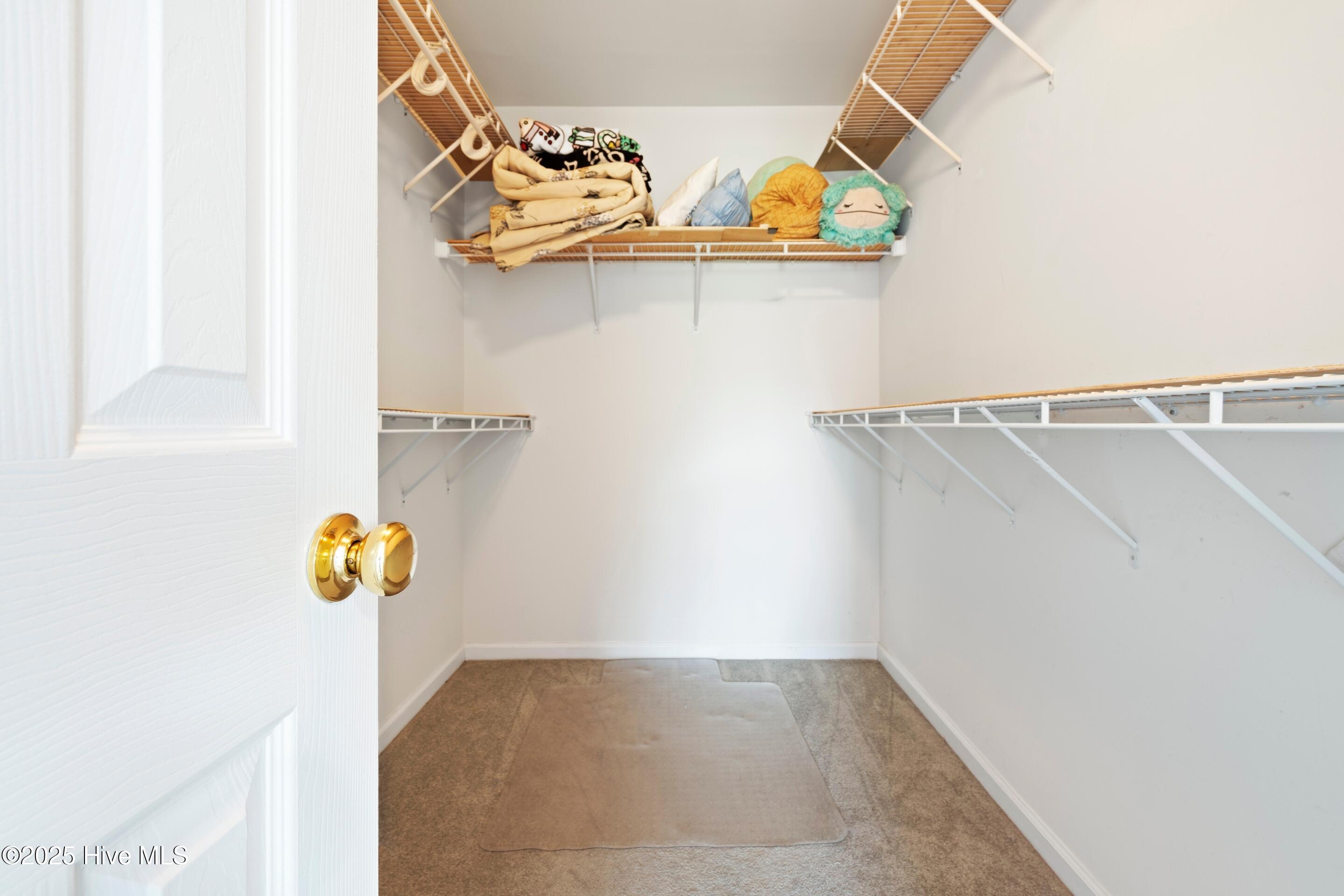 100509496 | Photo 26