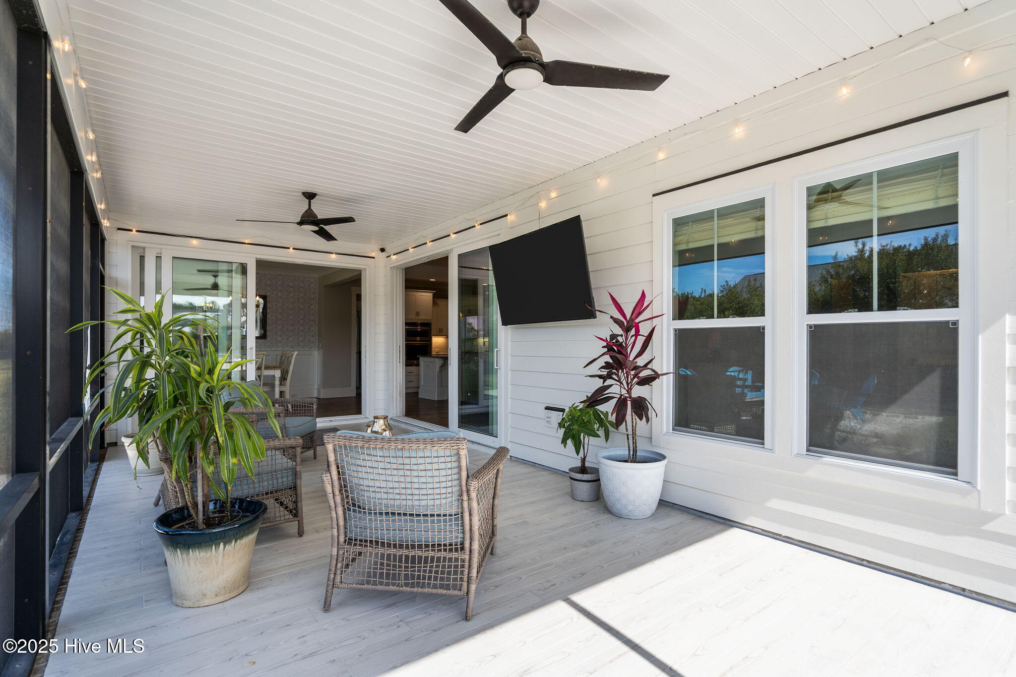 100536162 | Photo 53