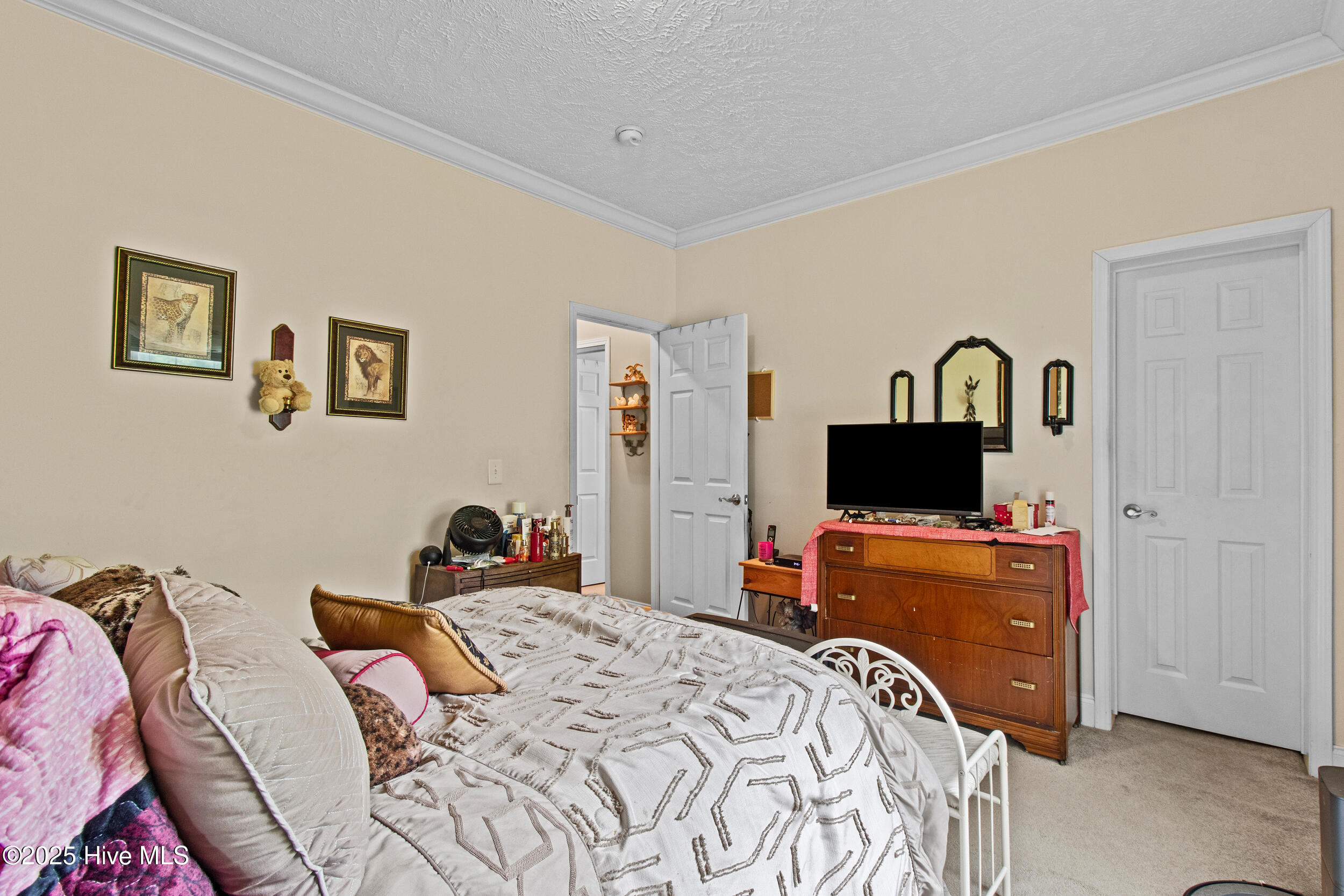 100552481 | Photo 21