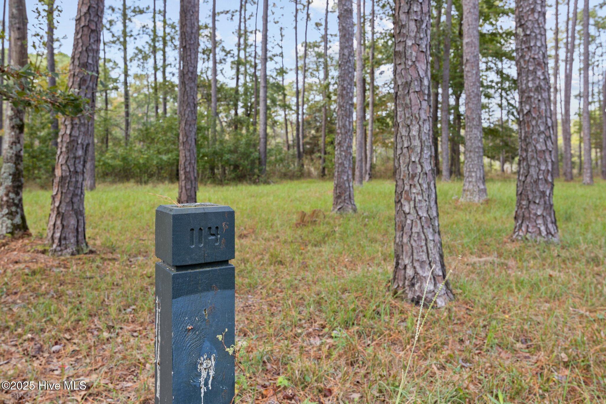 3-web-or-mls-2I3A0003