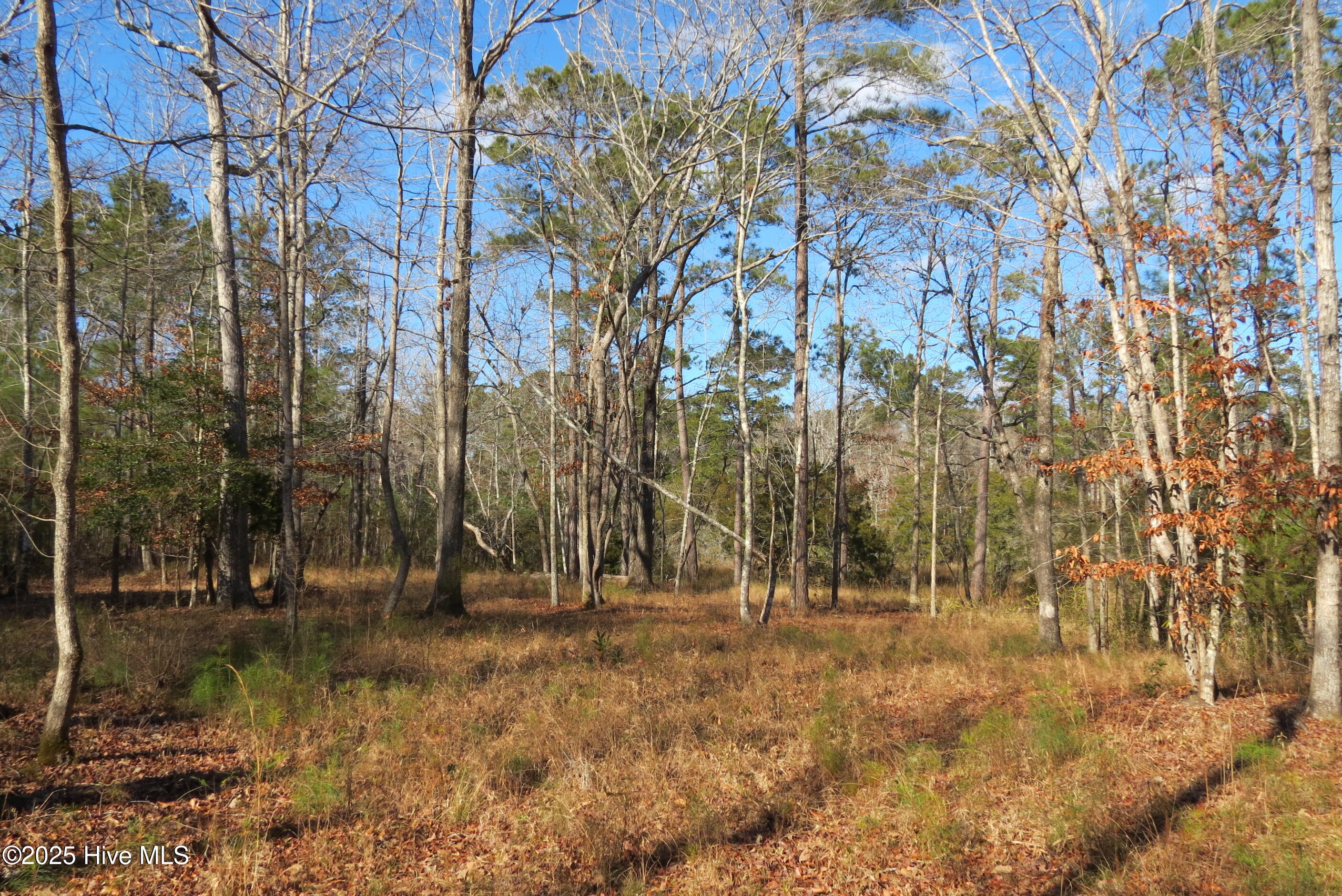 109 Winding Creek Drive, Oriental, NC, 28571