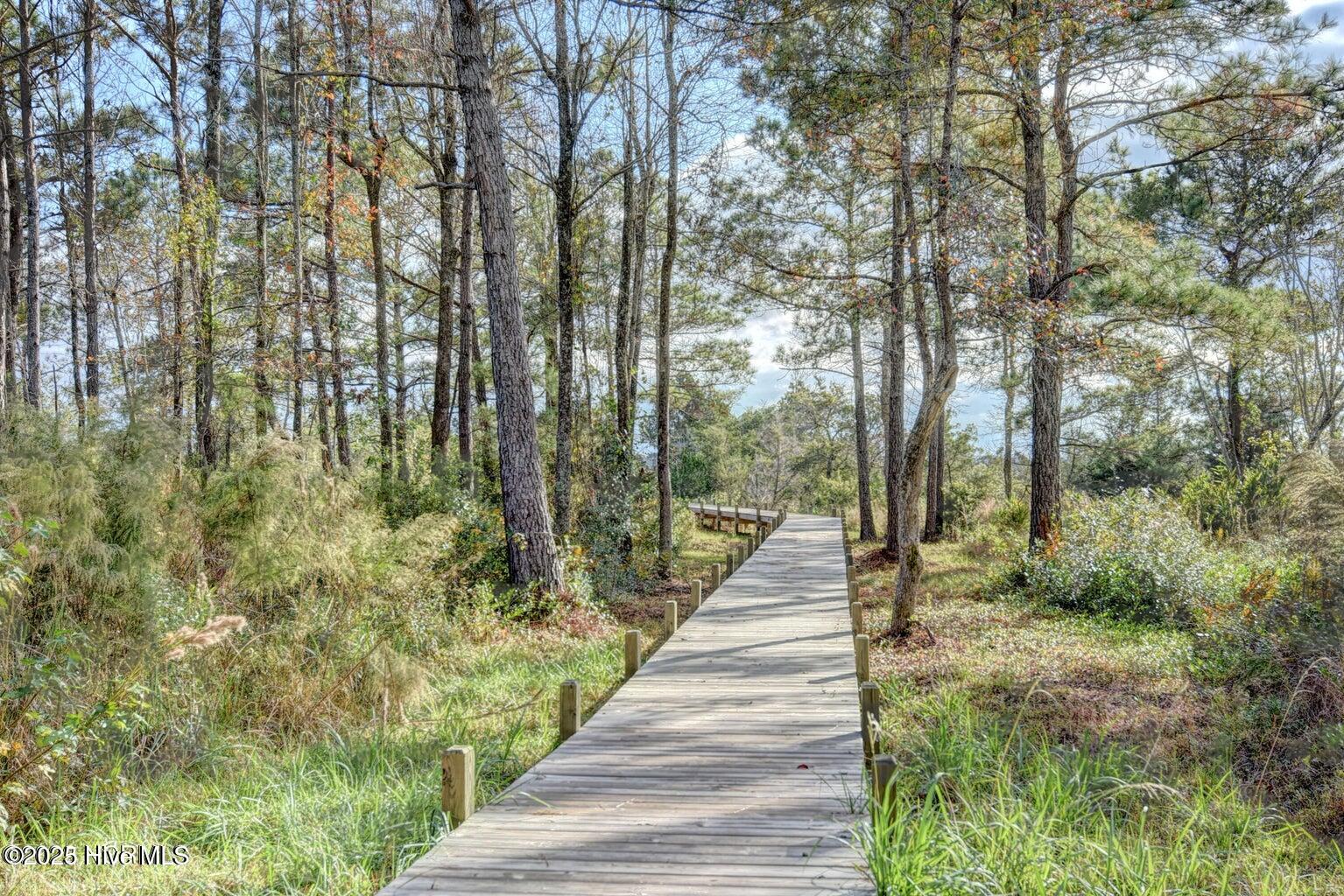 100541942 | Photo 18