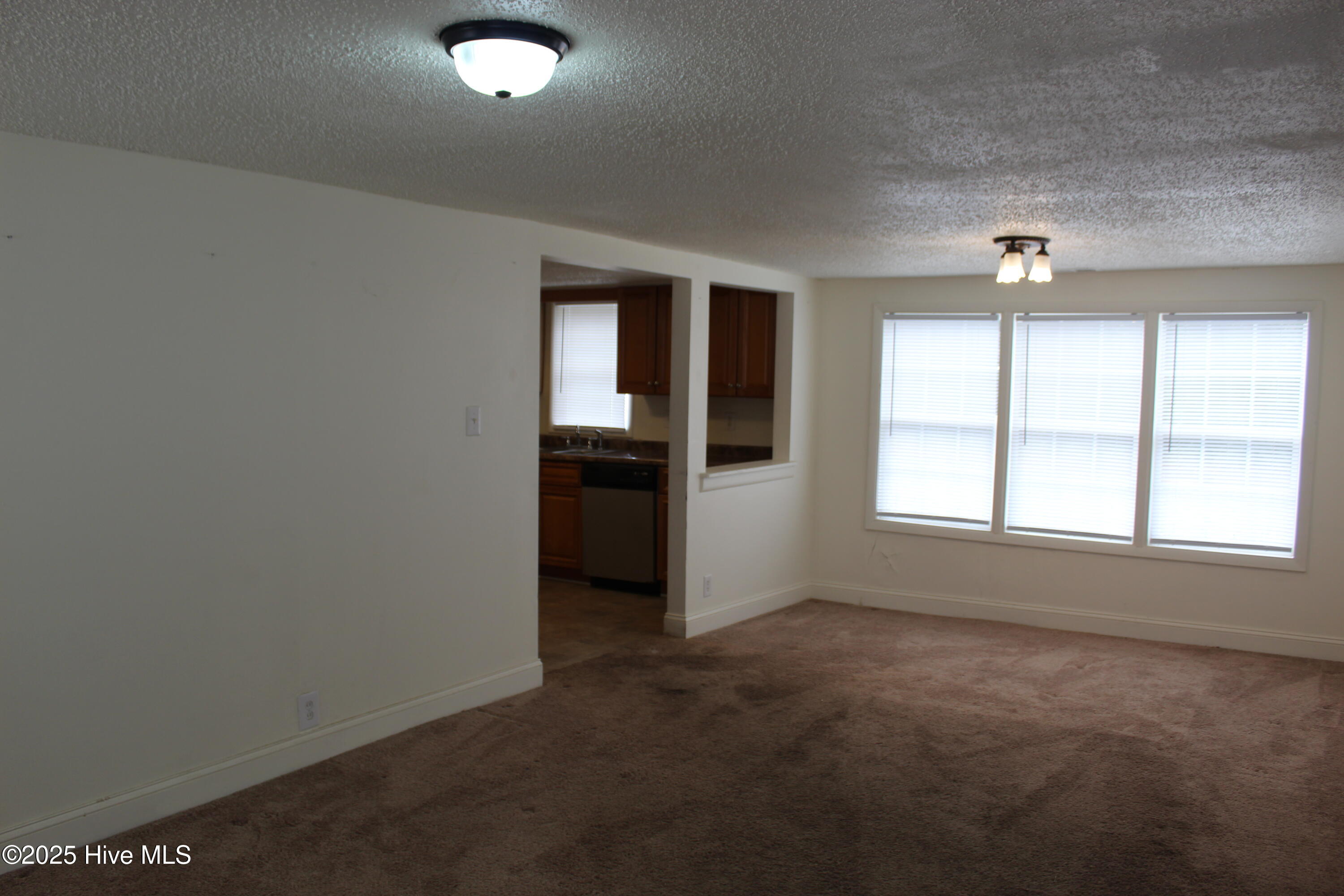 100546555 | Photo 20