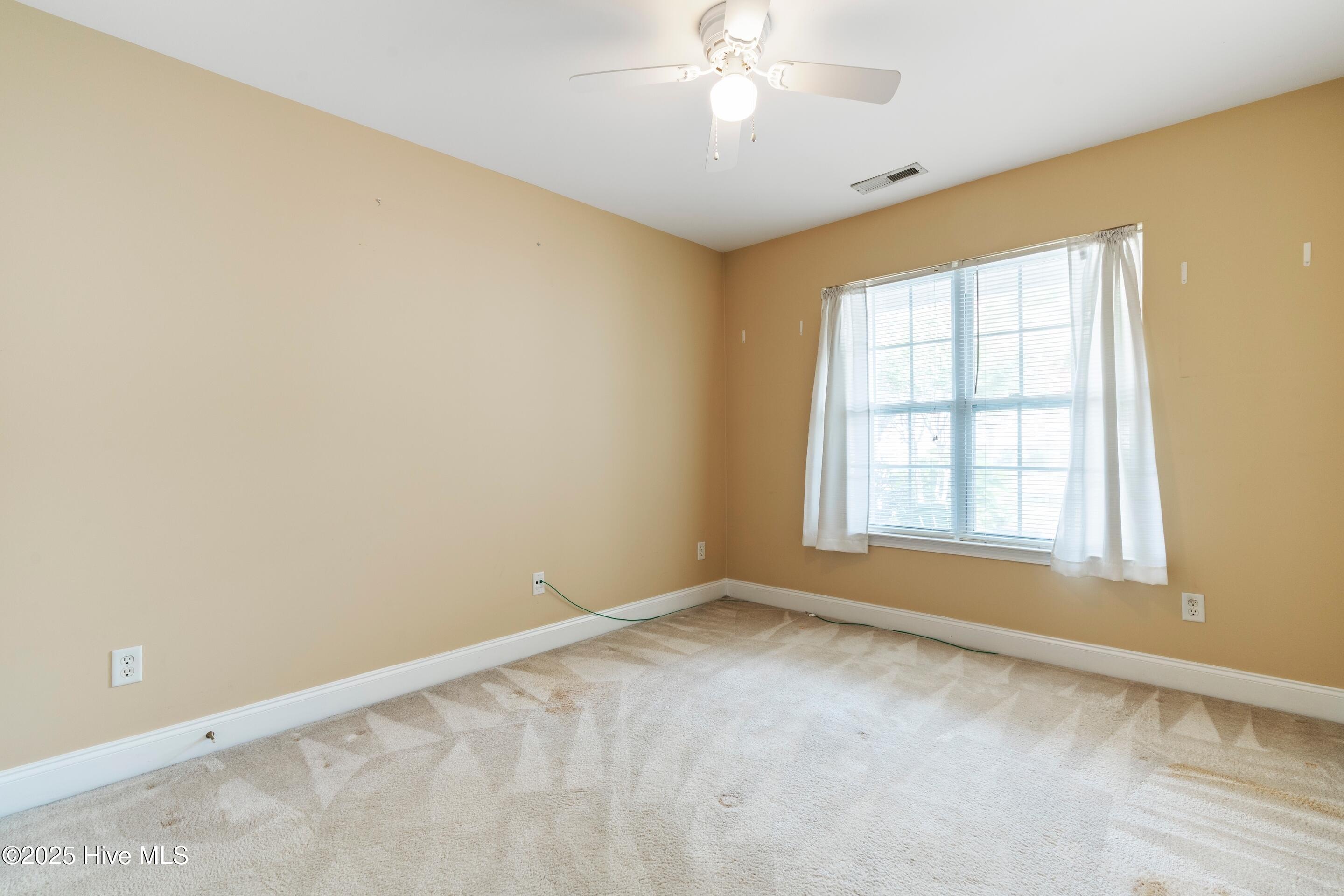 100522418 | Photo 39