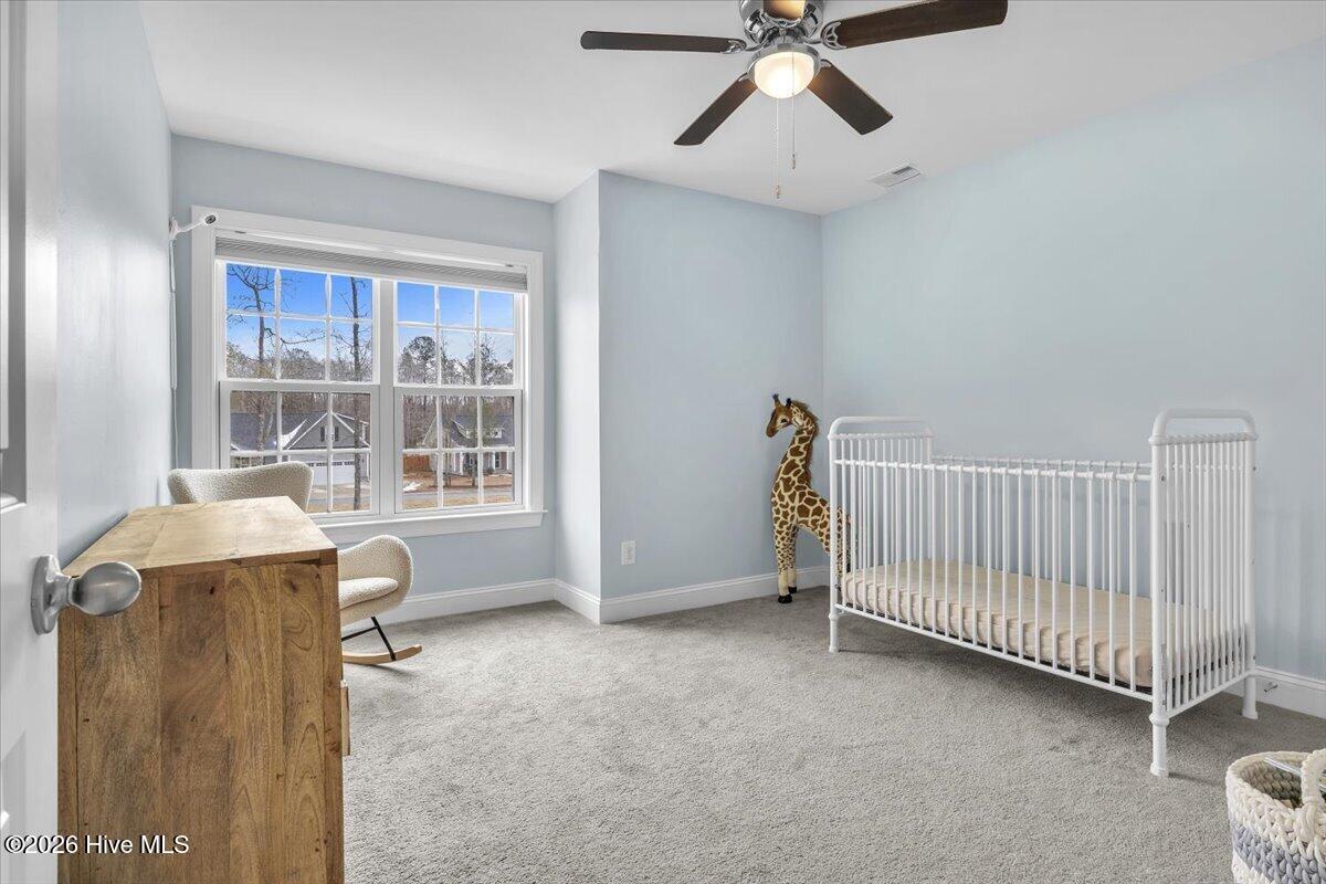 100553155 | Photo 33