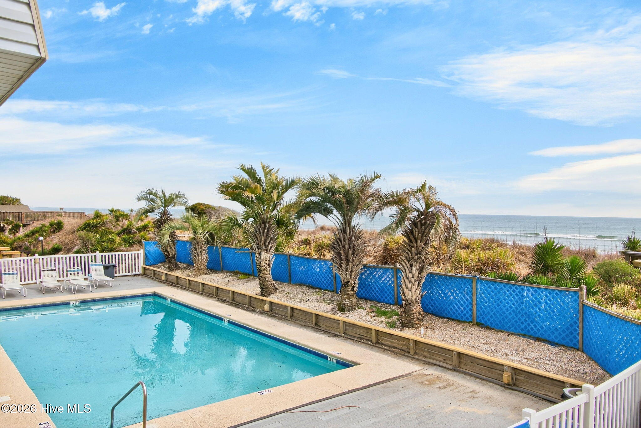 100557808 | Photo 35