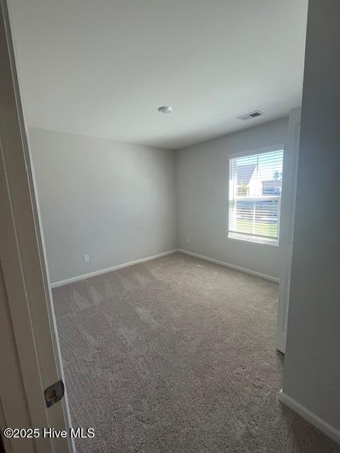 100537423 | Photo 19