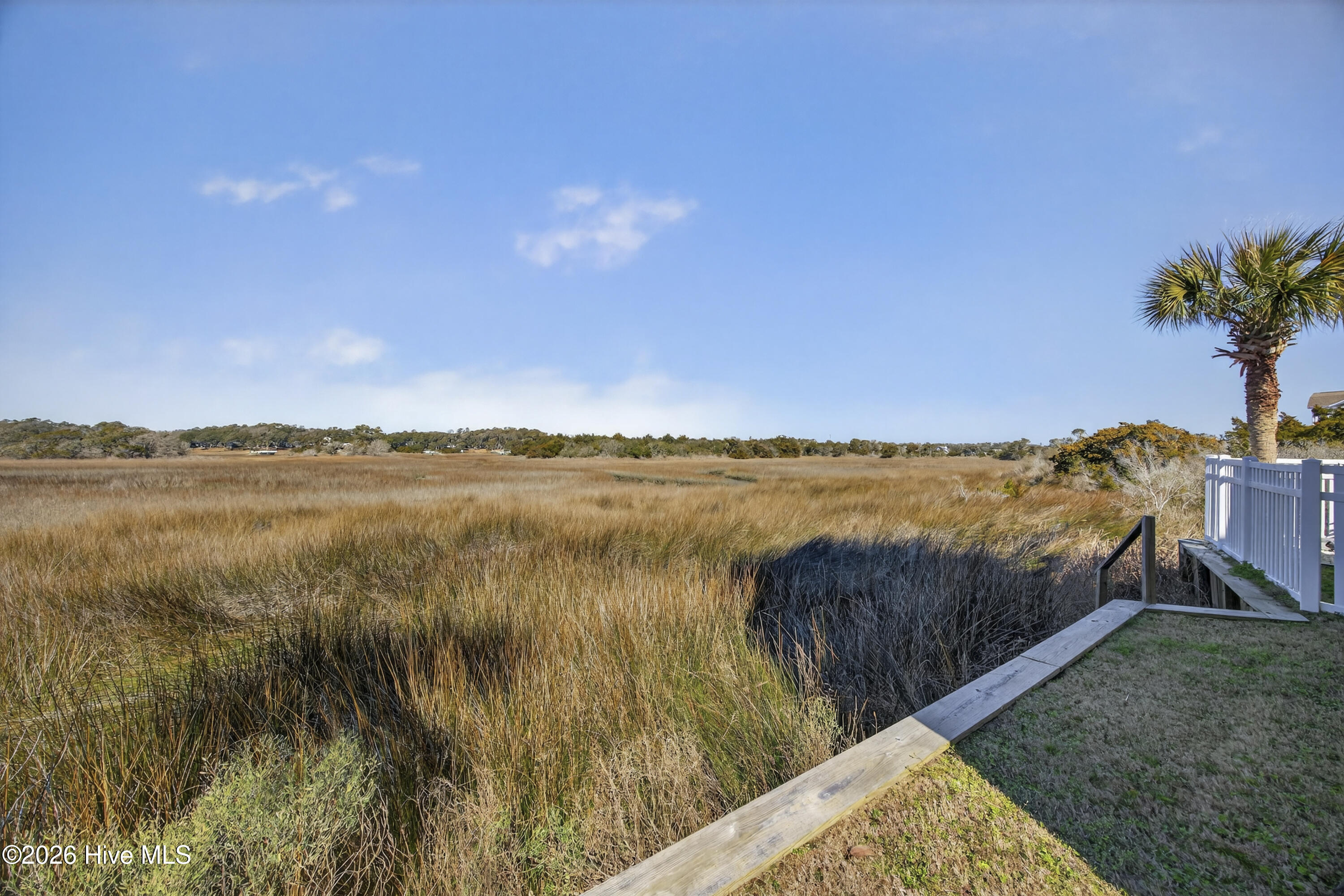 100554981 | Photo 19