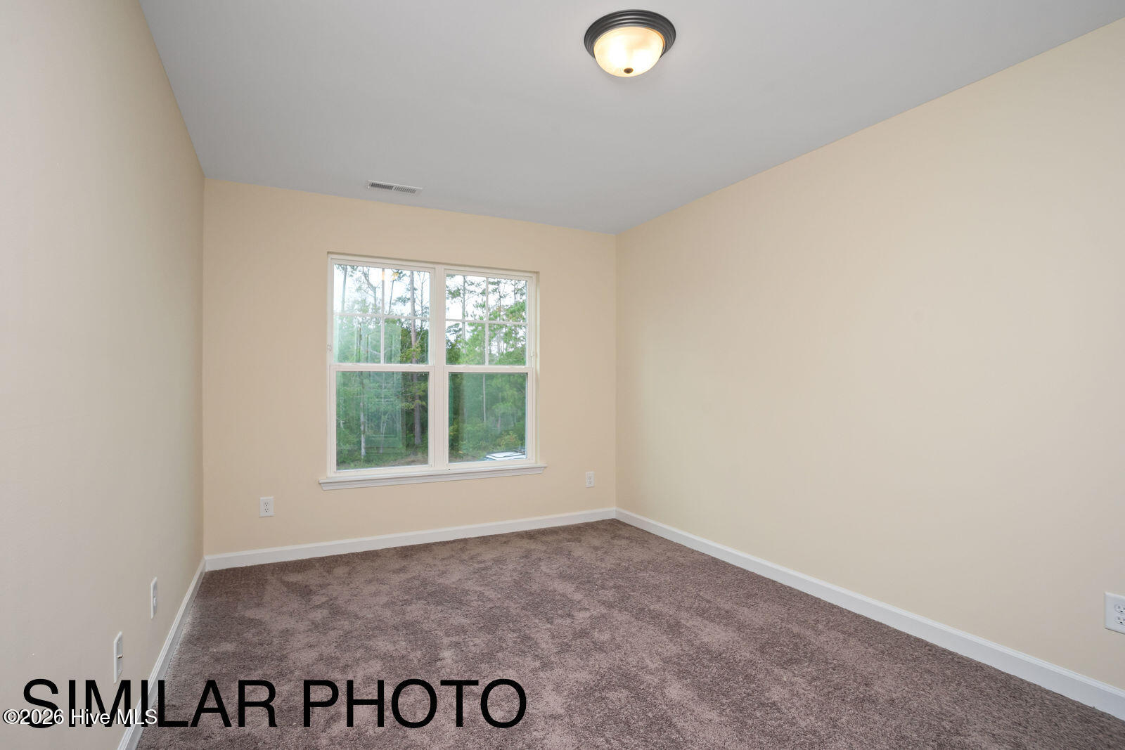 100566502 | Photo 16