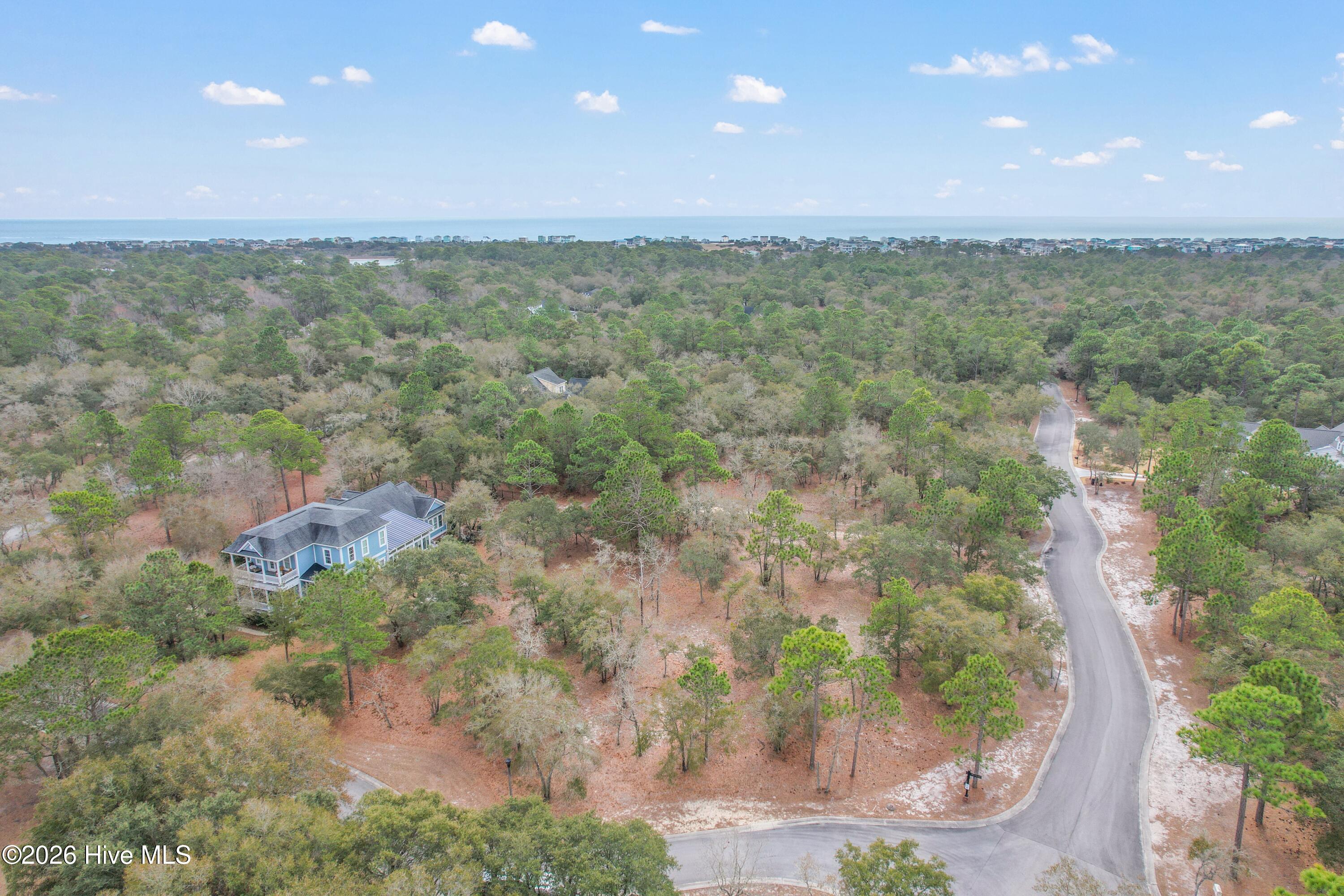 100548259 | Photo 11