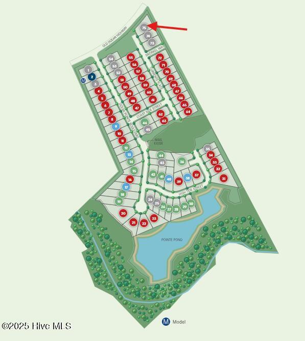 100535942 | Photo 14