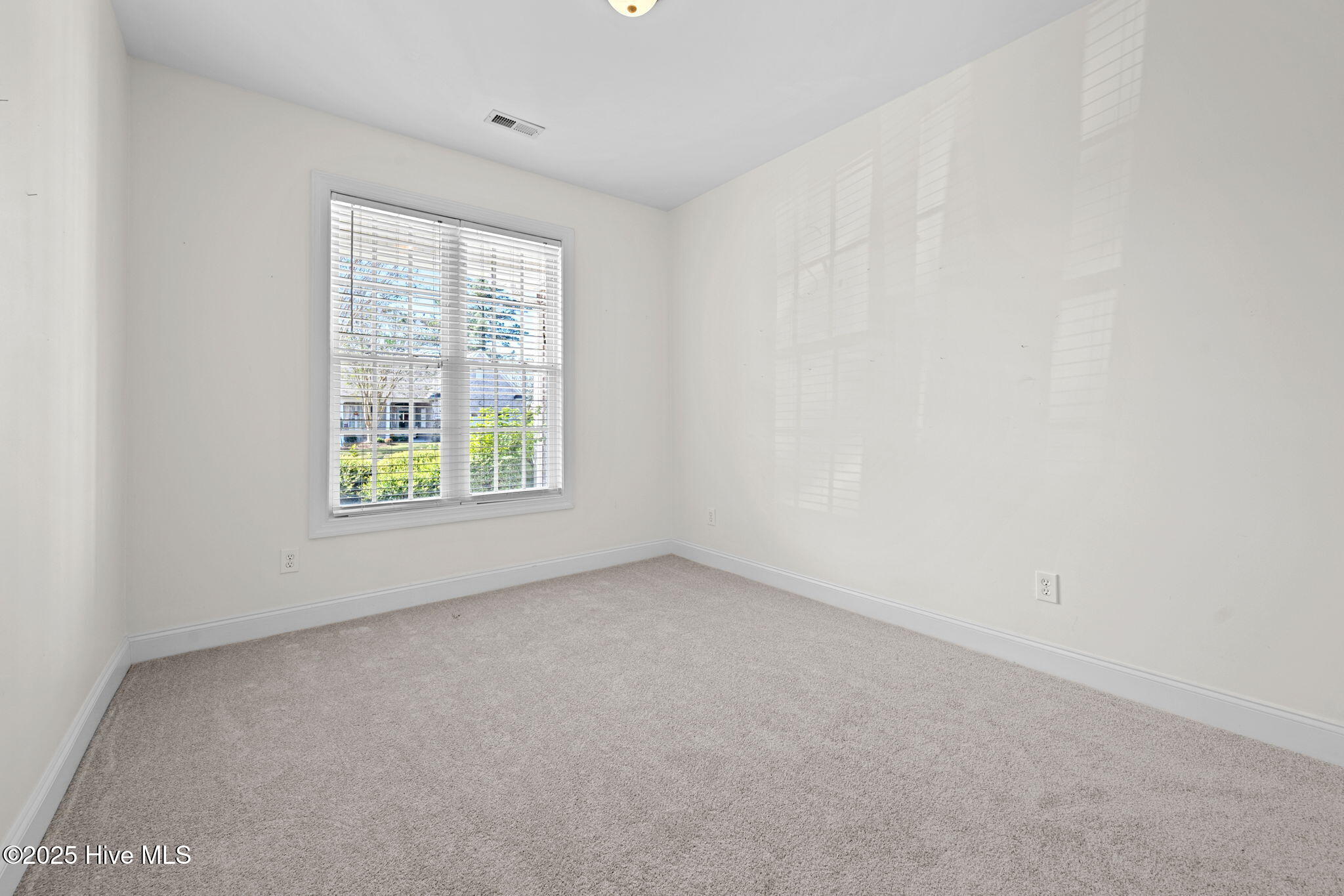 100535127 | Photo 24