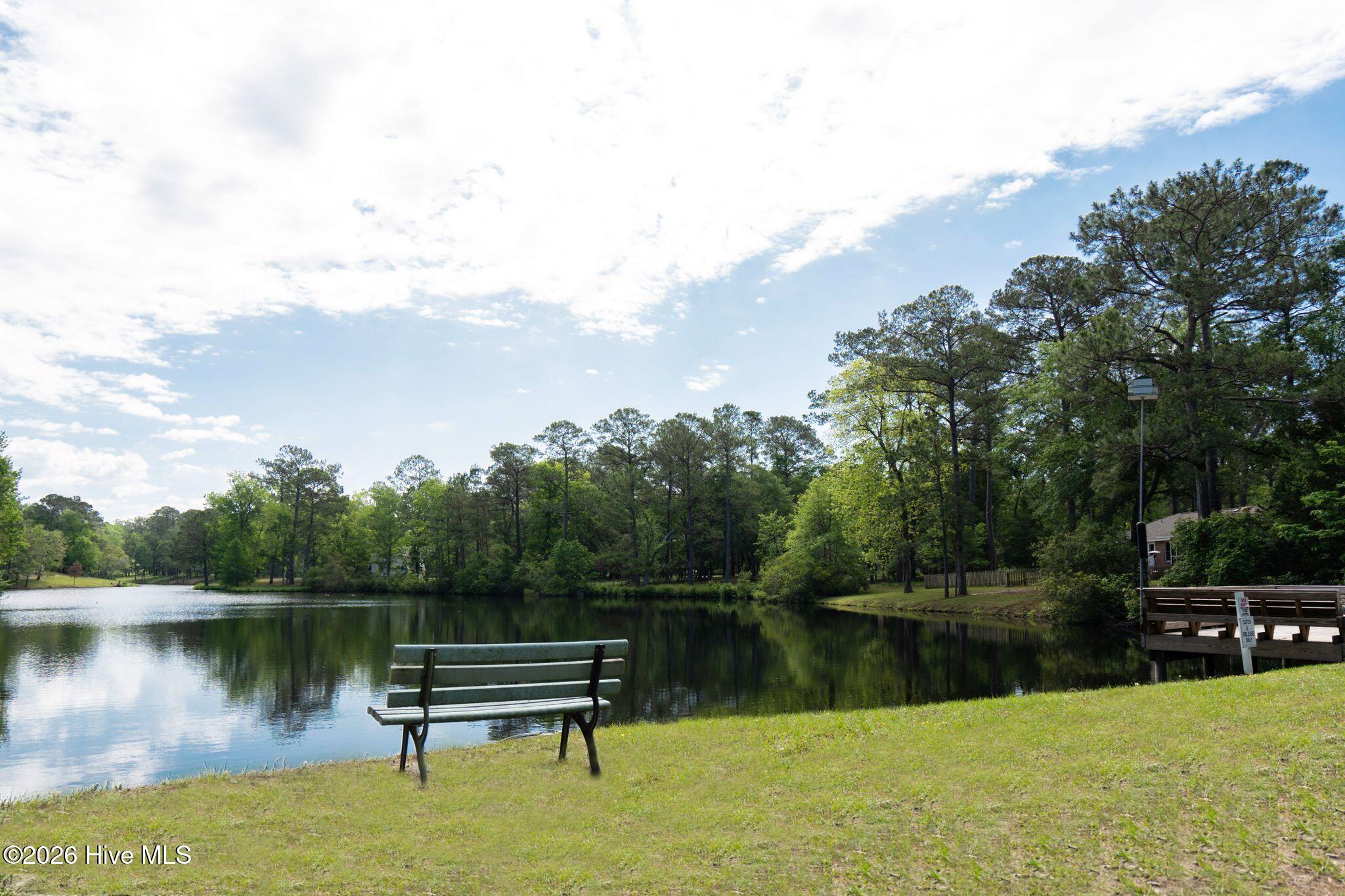 100563683 | Photo 49