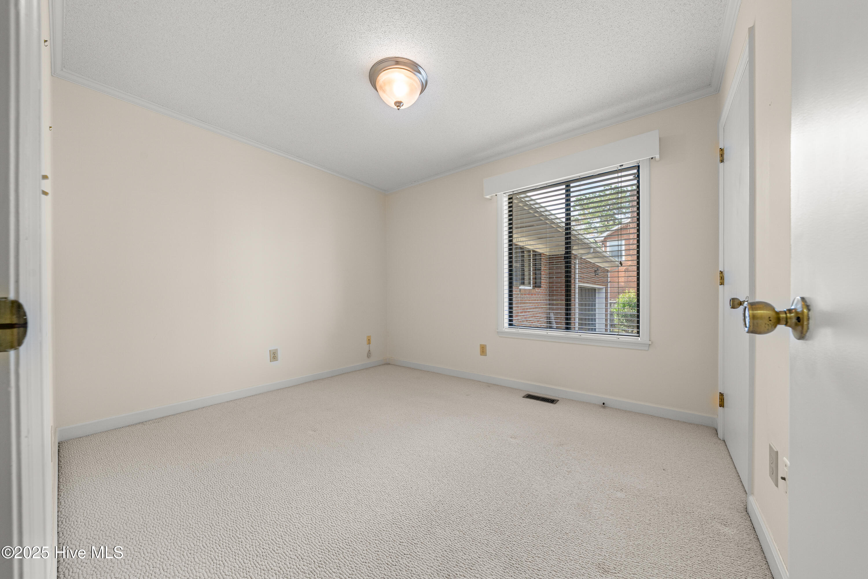 100542635 | Photo 26