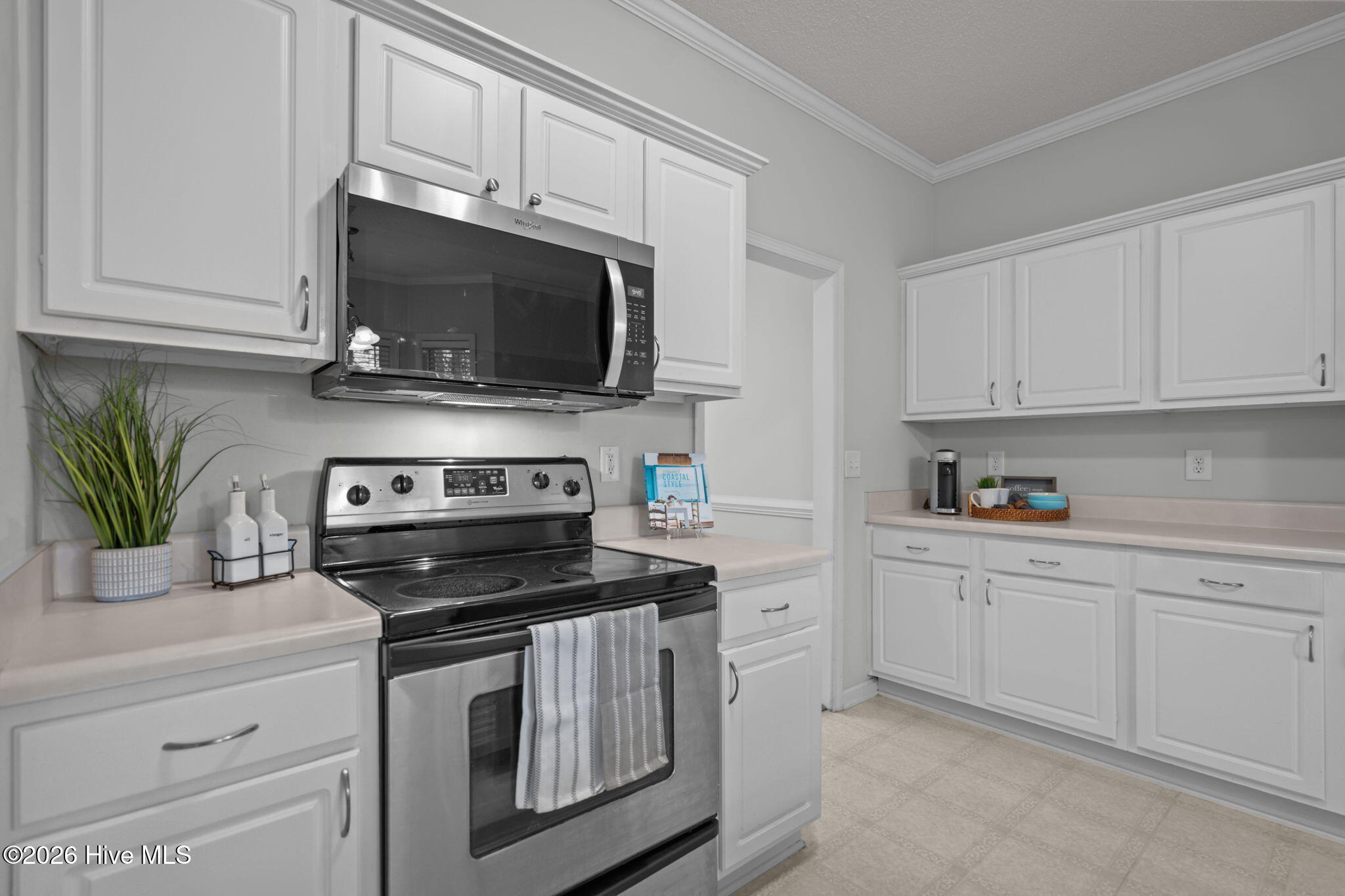 100558076 | Photo 12