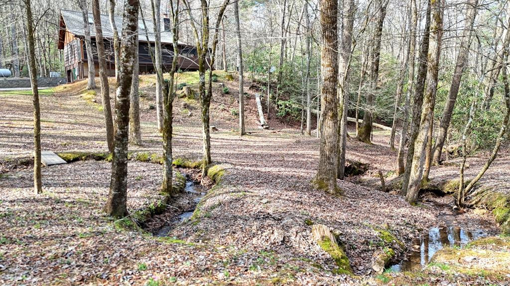 520 Farmer Drive, Murphy, NC 28906 Listing Photo  125