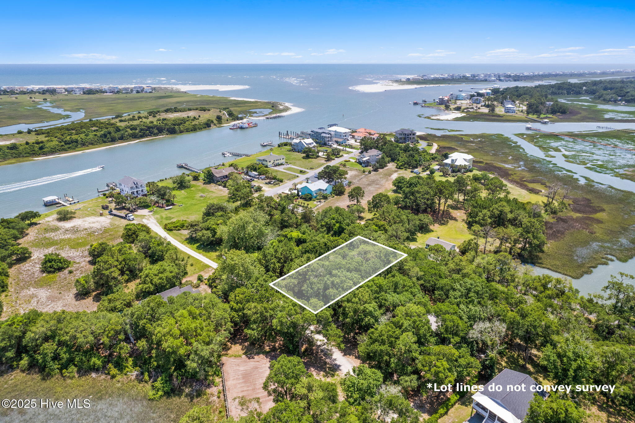 100519395 | Photo 11